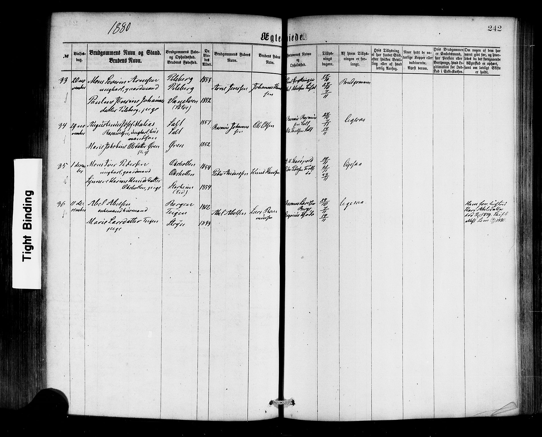 Selje sokneprestembete, AV/SAB-A-99938/H/Ha/Haa/Haaa: Parish register (official) no. A 12, 1870-1880, p. 242