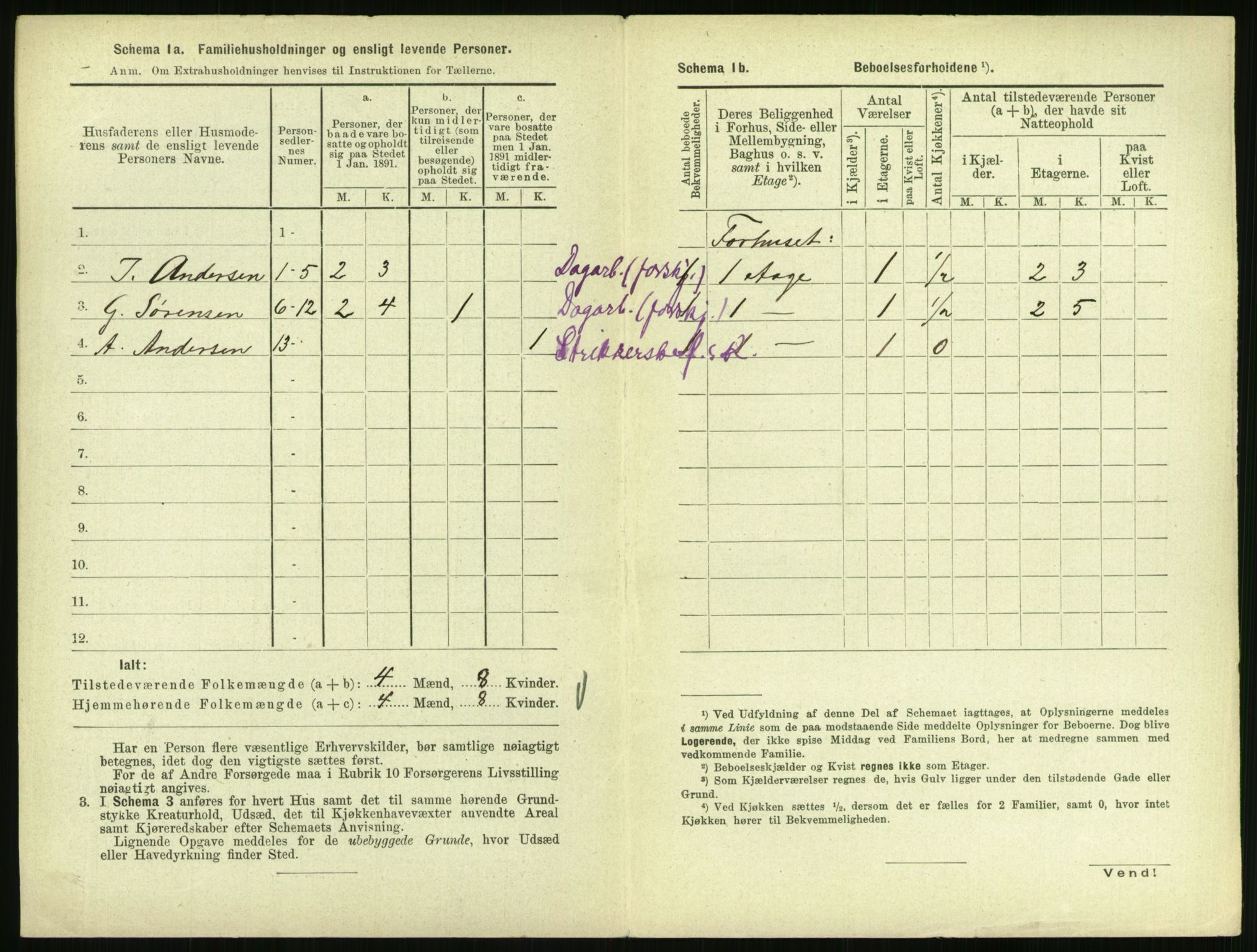 RA, 1891 census for 0707 Larvik, 1891, p. 1228