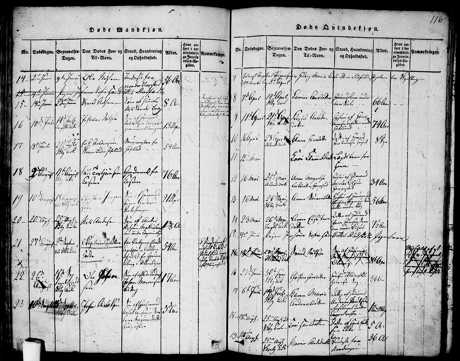 Skjeberg prestekontor Kirkebøker, AV/SAO-A-10923/F/Fa/L0004: Parish register (official) no. I 4, 1815-1830, p. 116