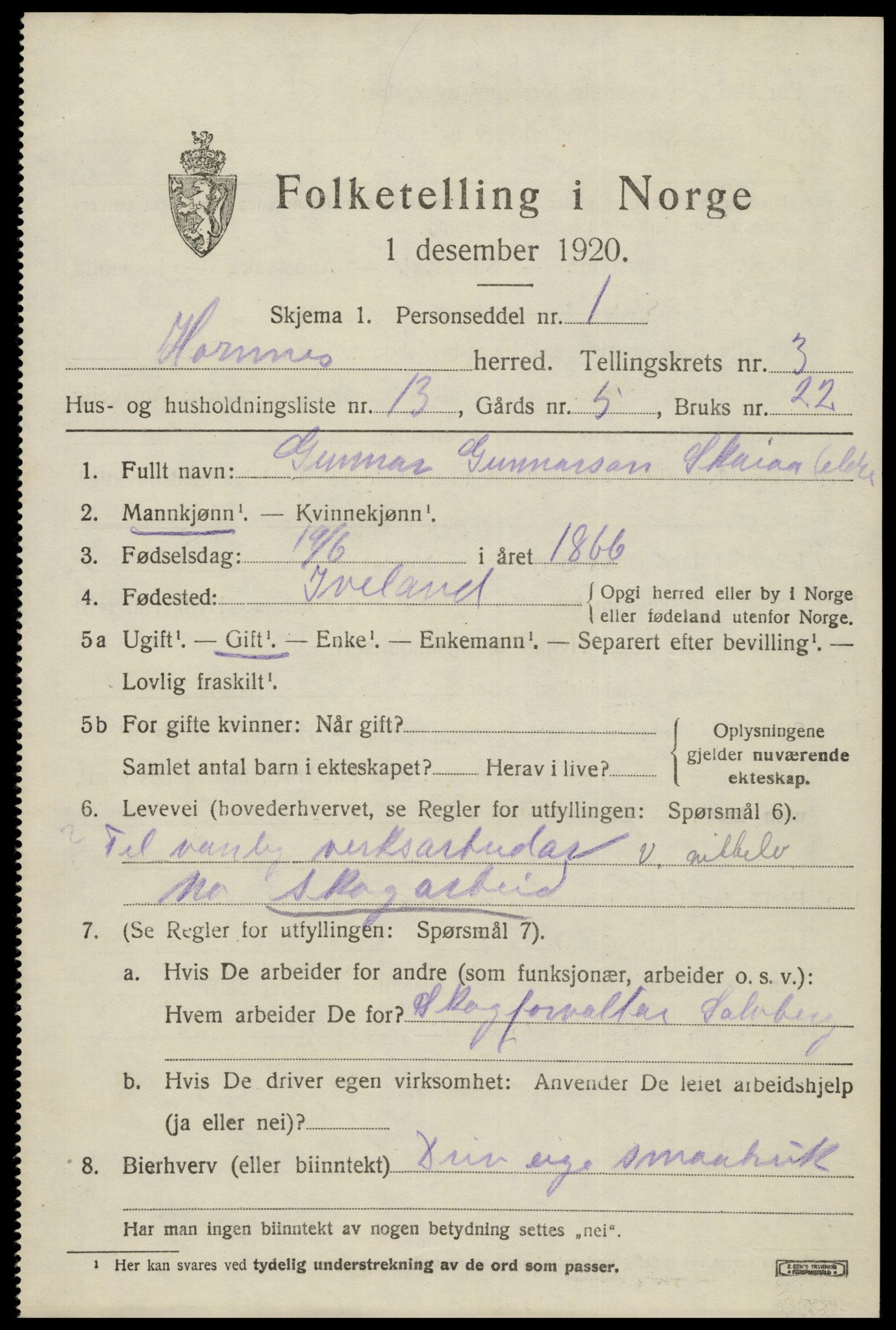 SAK, 1920 census for Hornnes, 1920, p. 943