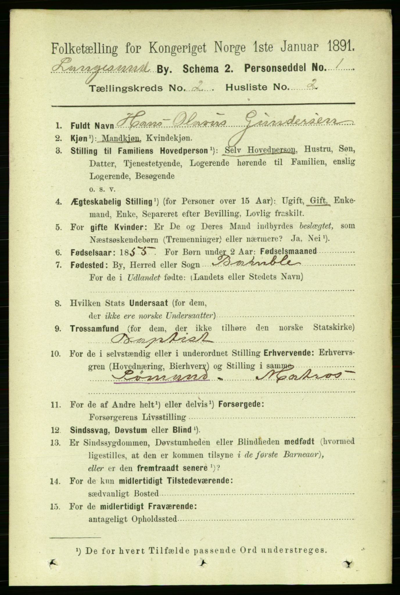 RA, 1891 census for 0802 Langesund, 1891, p. 715