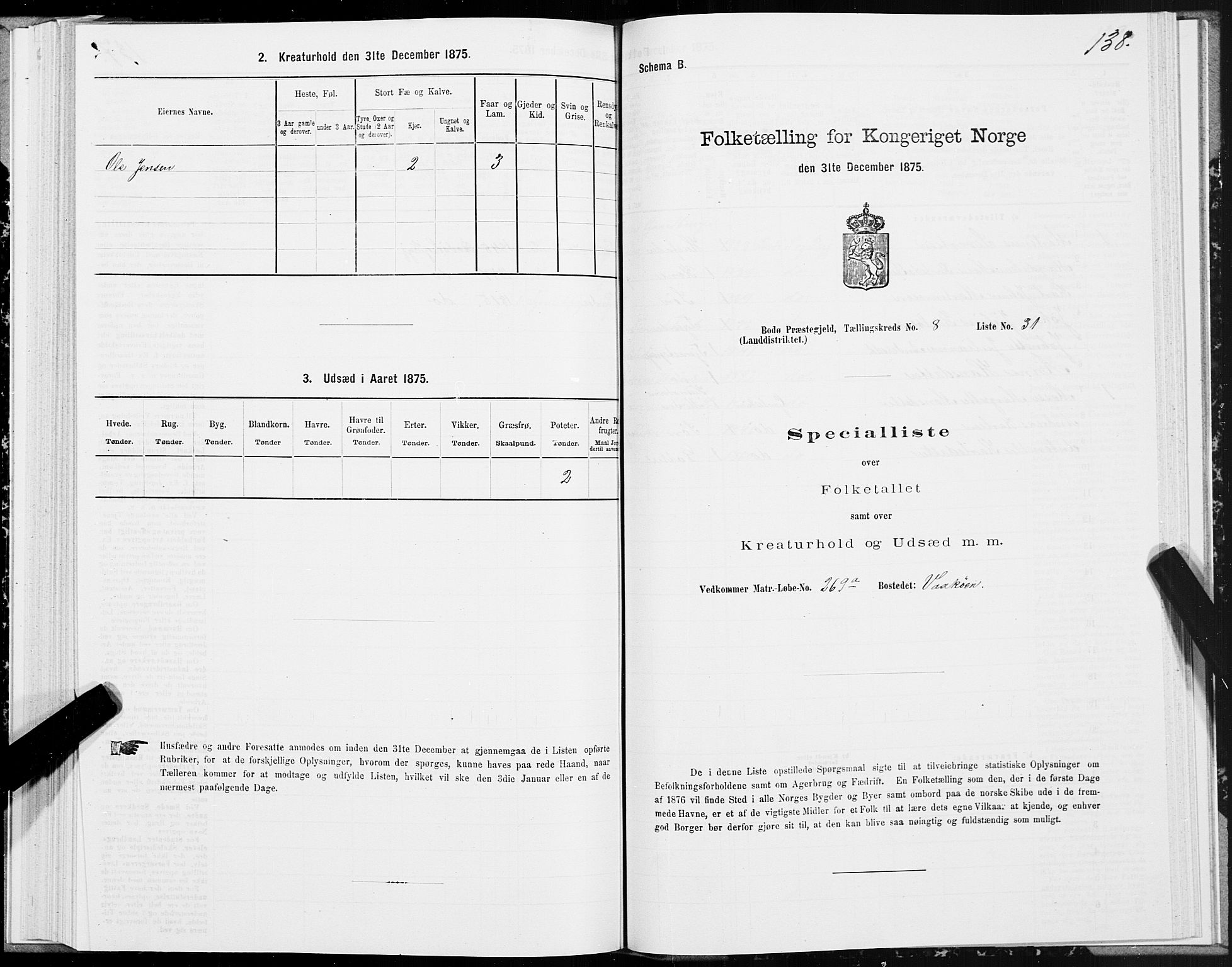 SAT, 1875 census for 1843L Bodø/Bodø, 1875, p. 4138