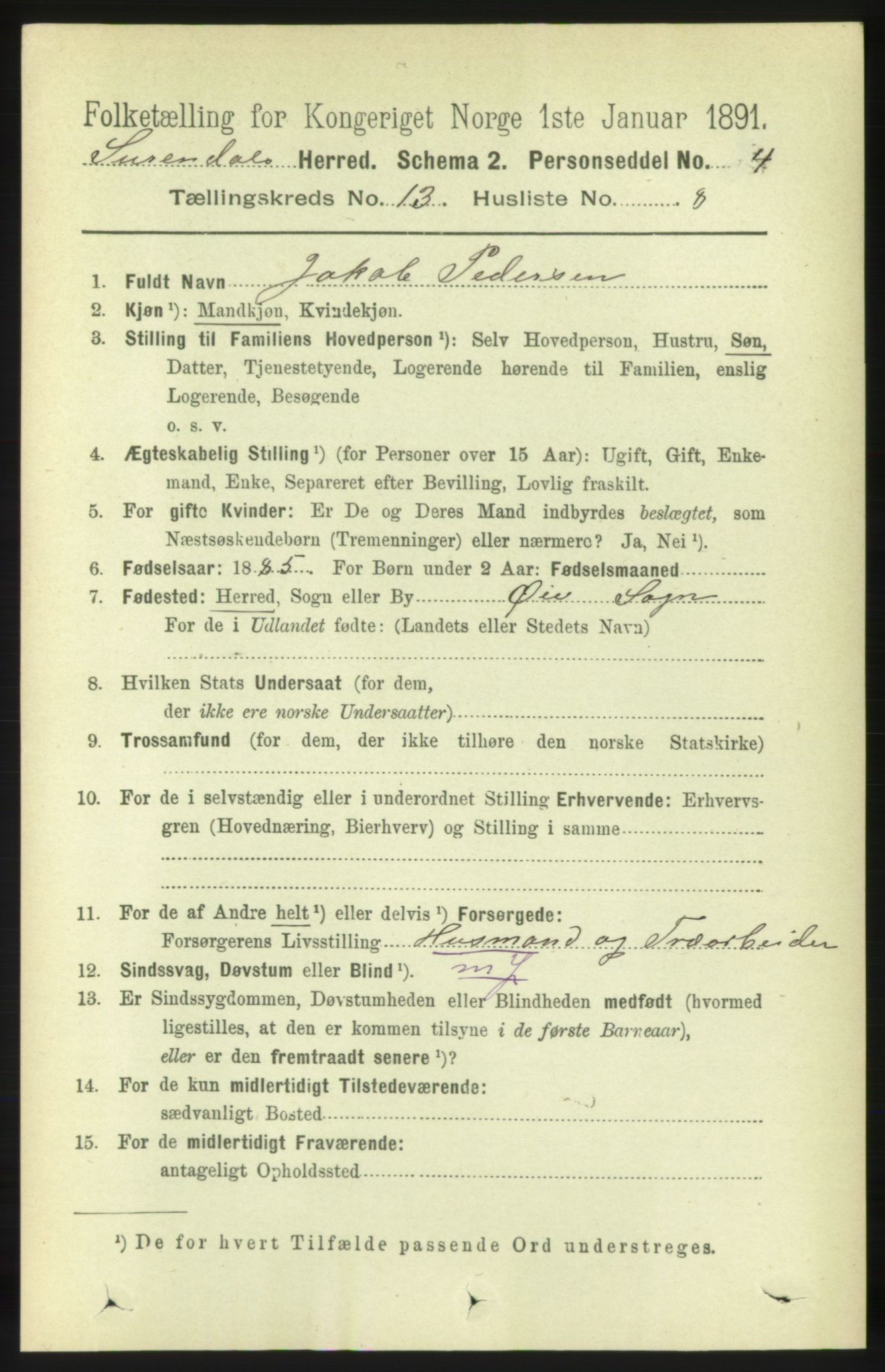 RA, 1891 census for 1566 Surnadal, 1891, p. 3219