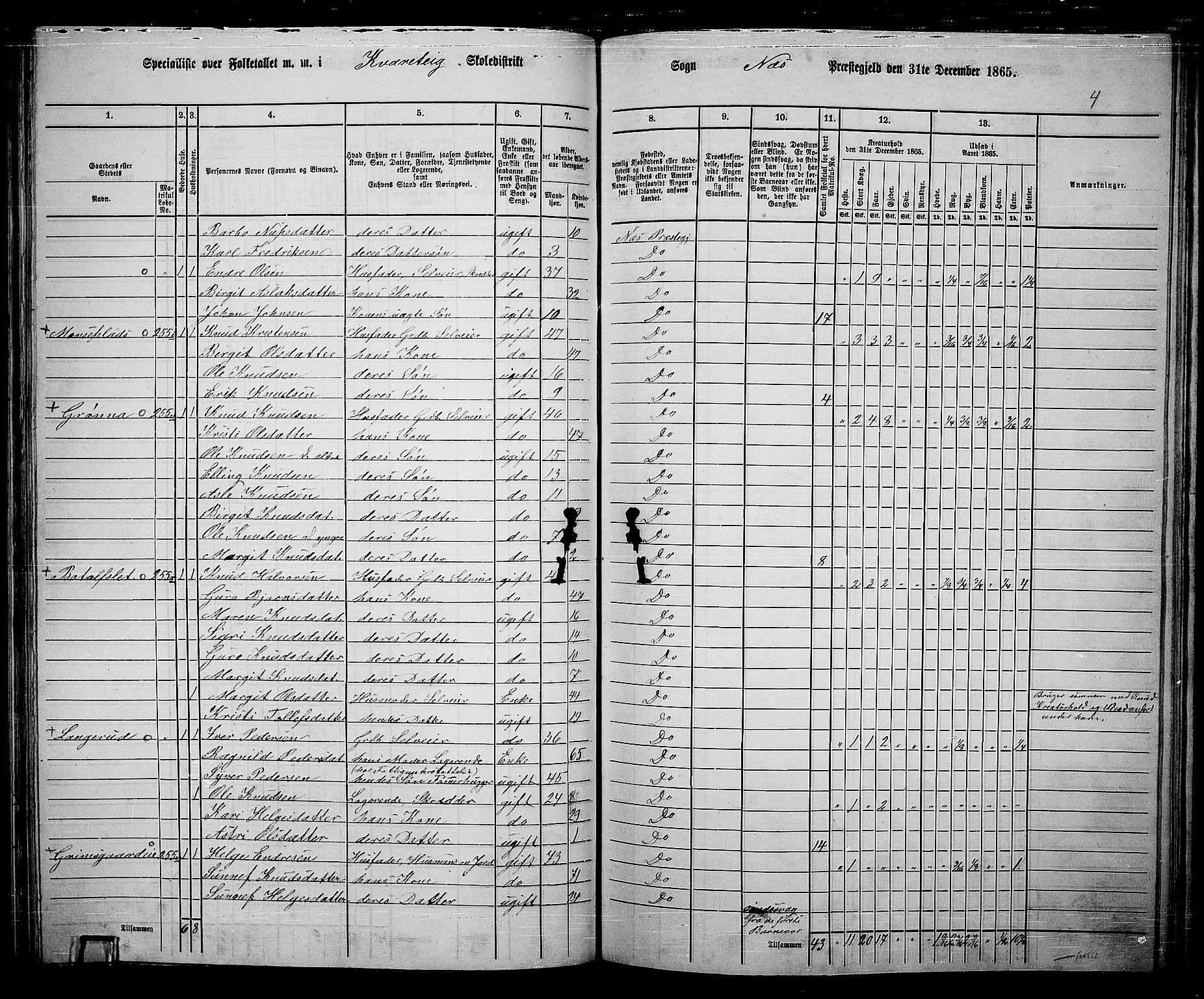 RA, 1865 census for Nes, 1865, p. 131