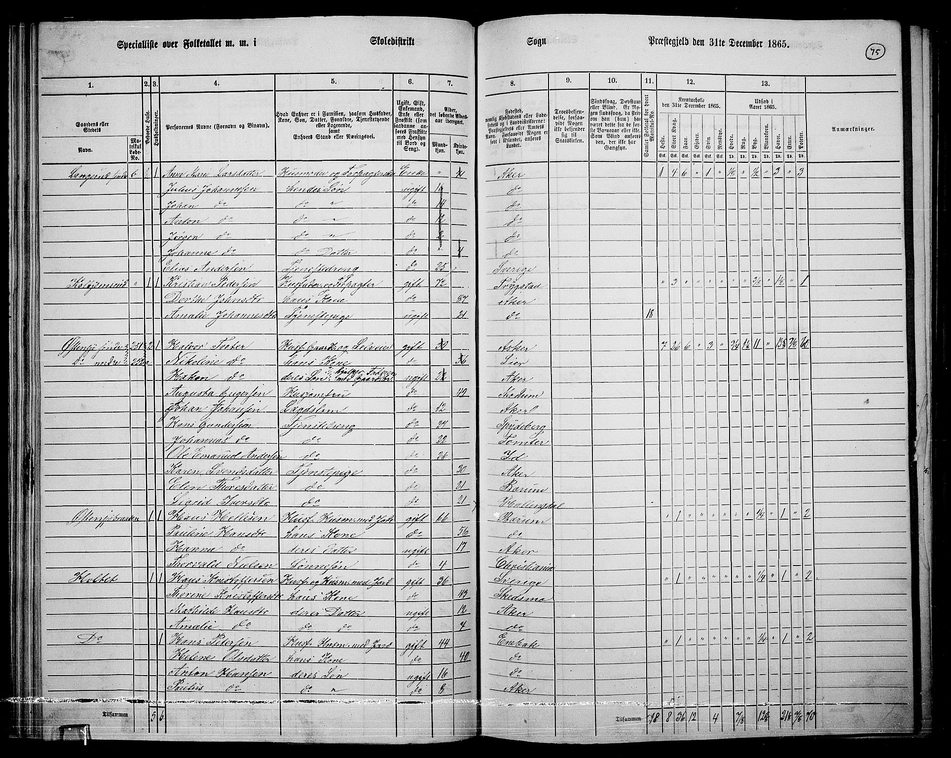 RA, 1865 census for Østre Aker, 1865, p. 299