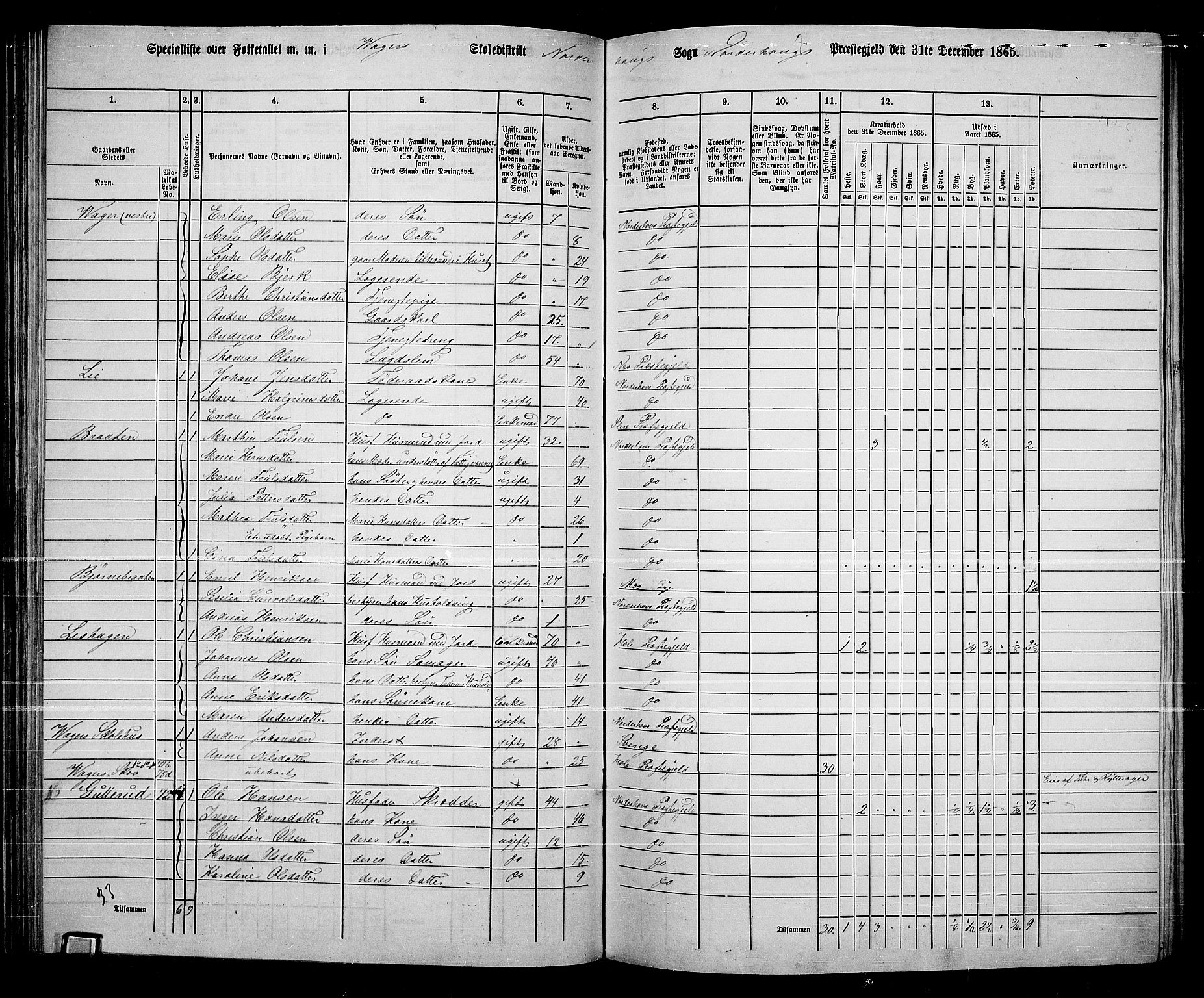 RA, 1865 census for Norderhov/Norderhov, Haug og Lunder, 1865, p. 100