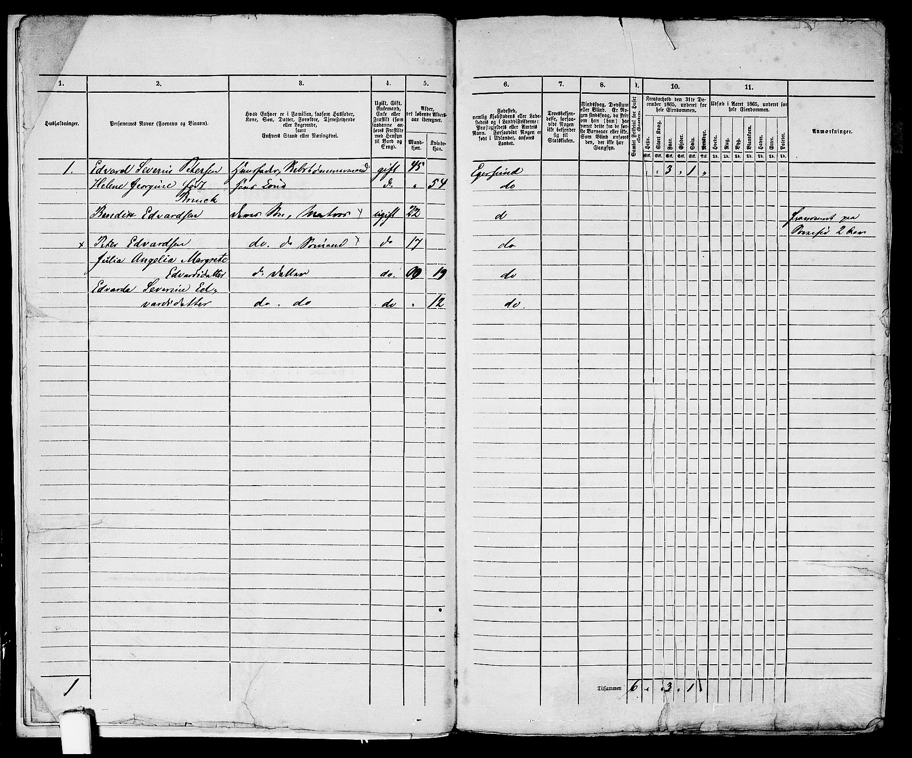 RA, 1865 census for Eigersund parish, Egersund town, 1865, p. 11