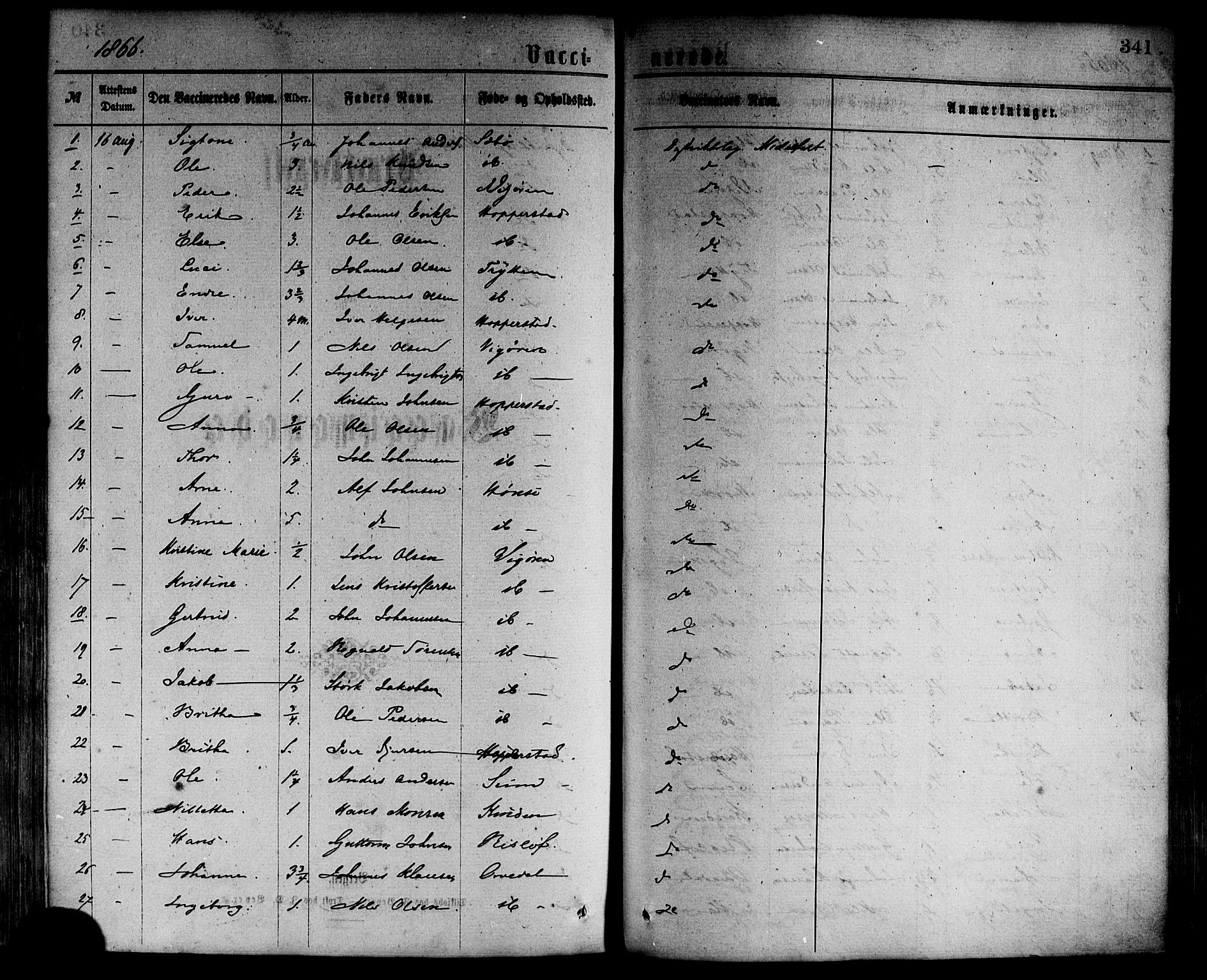 Vik sokneprestembete, SAB/A-81501: Parish register (official) no. A 9, 1866-1877, p. 341