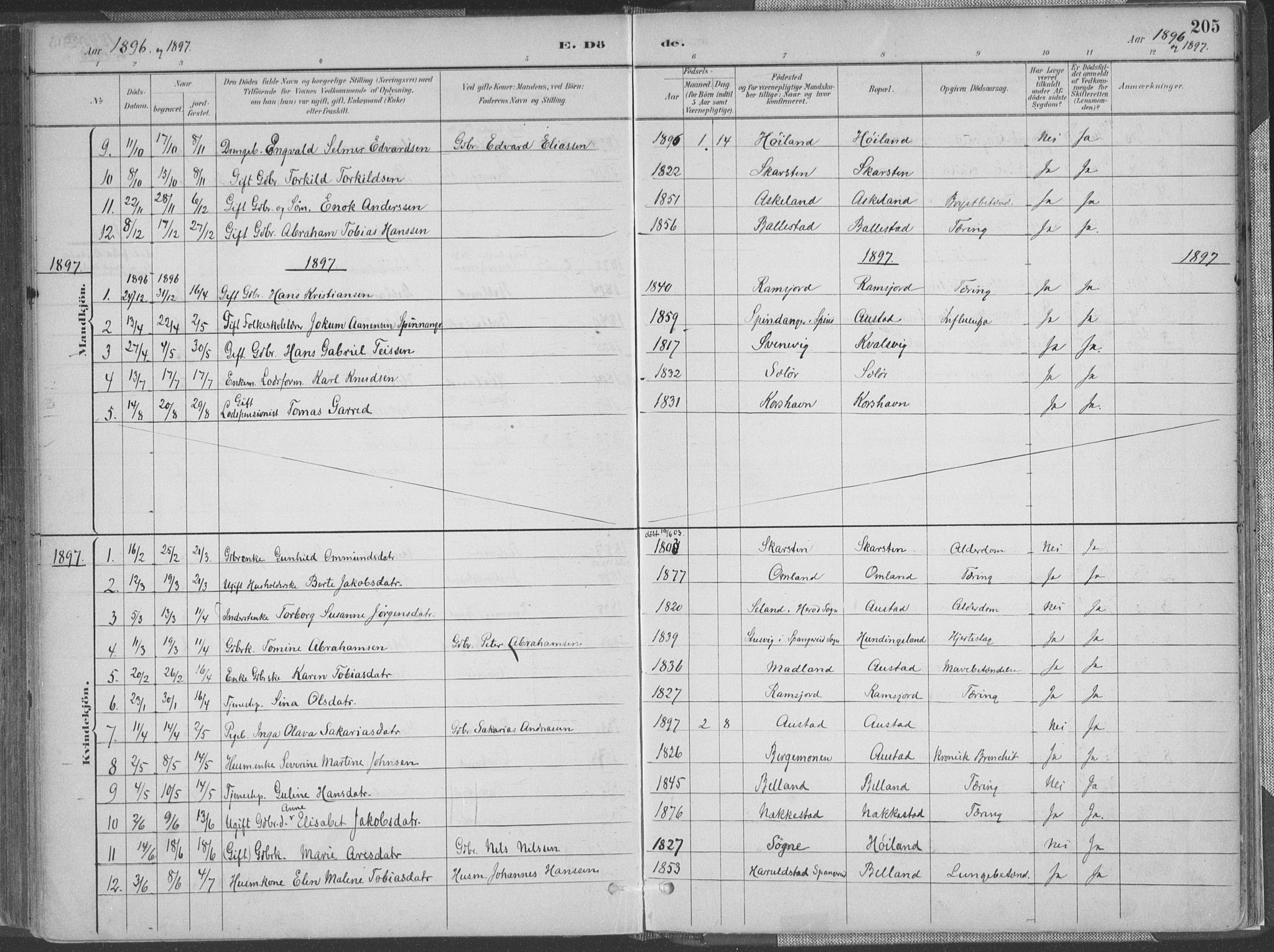 Lyngdal sokneprestkontor, SAK/1111-0029/F/Fa/Faa/L0004: Parish register (official) no. A 4, 1883-1904, p. 205