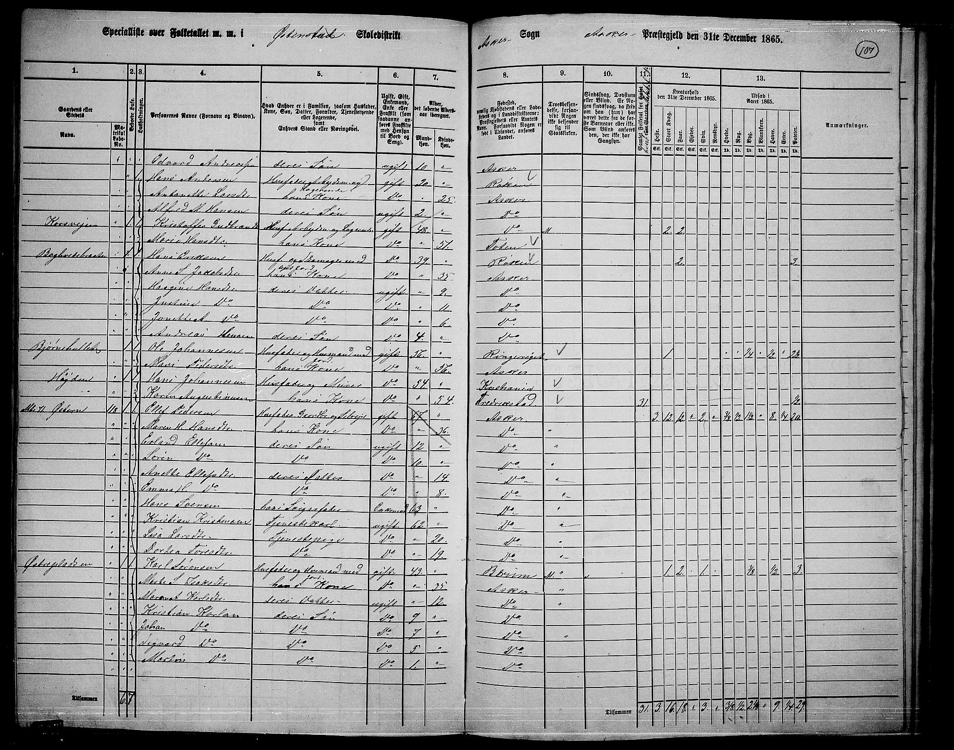 RA, 1865 census for Asker, 1865, p. 103