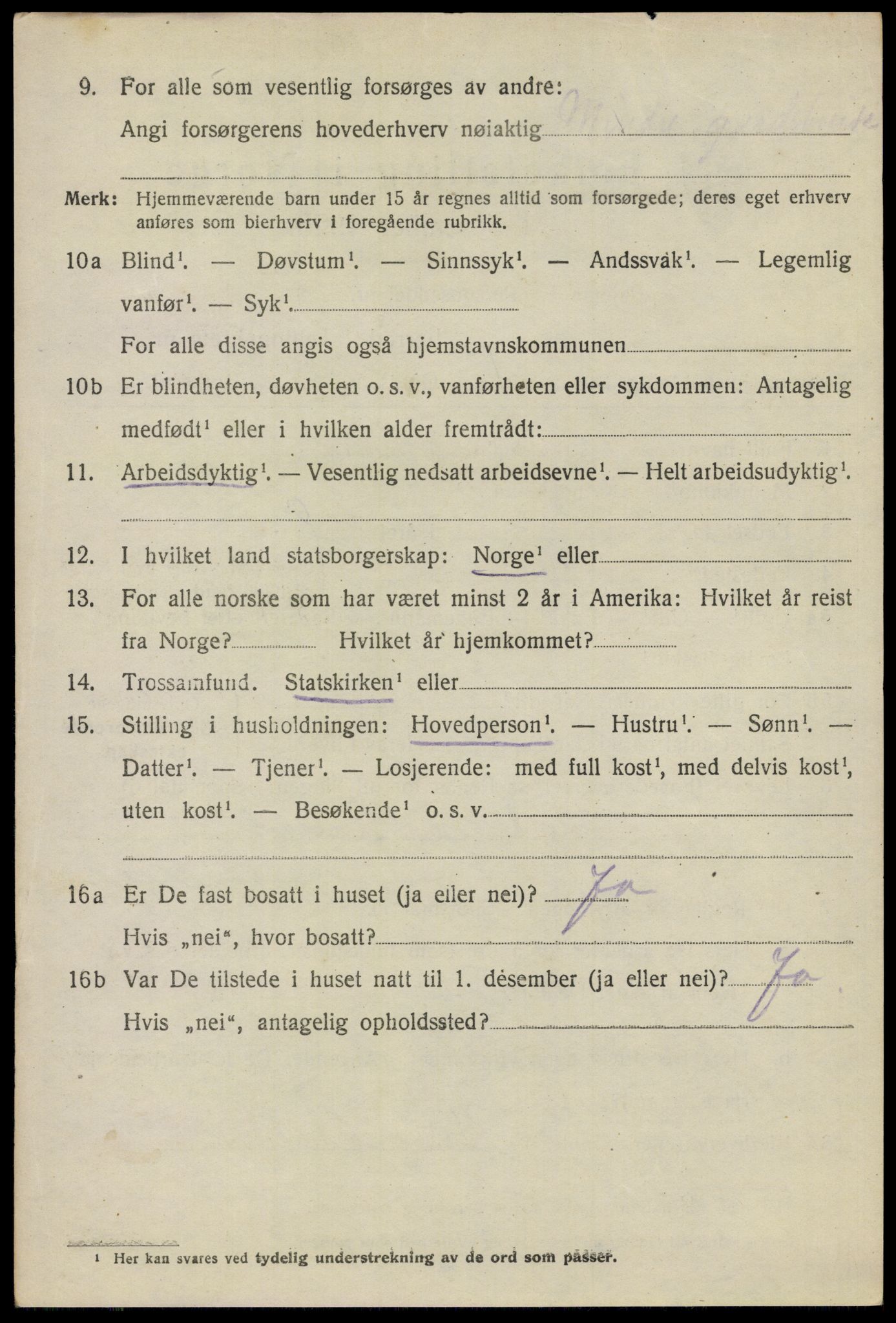 SAO, 1920 census for Nes, 1920, p. 16441