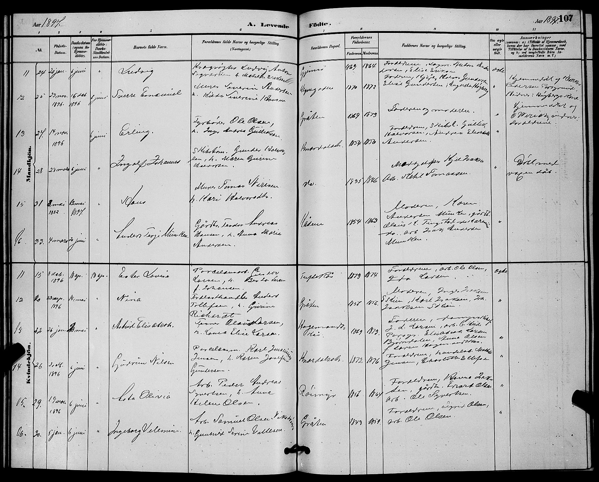 Solum kirkebøker, SAKO/A-306/G/Ga/L0007: Parish register (copy) no. I 7, 1884-1898, p. 107