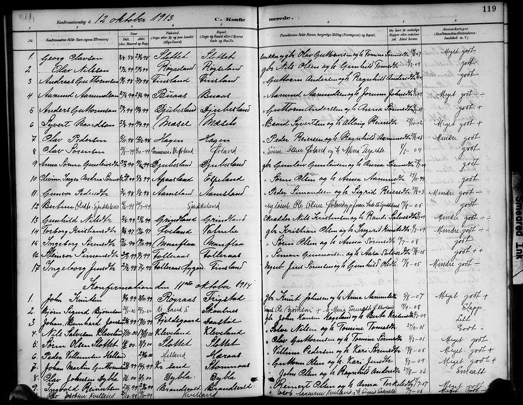 Bjelland sokneprestkontor, SAK/1111-0005/F/Fb/Fbb/L0005: Parish register (copy) no. B 5, 1887-1918, p. 119