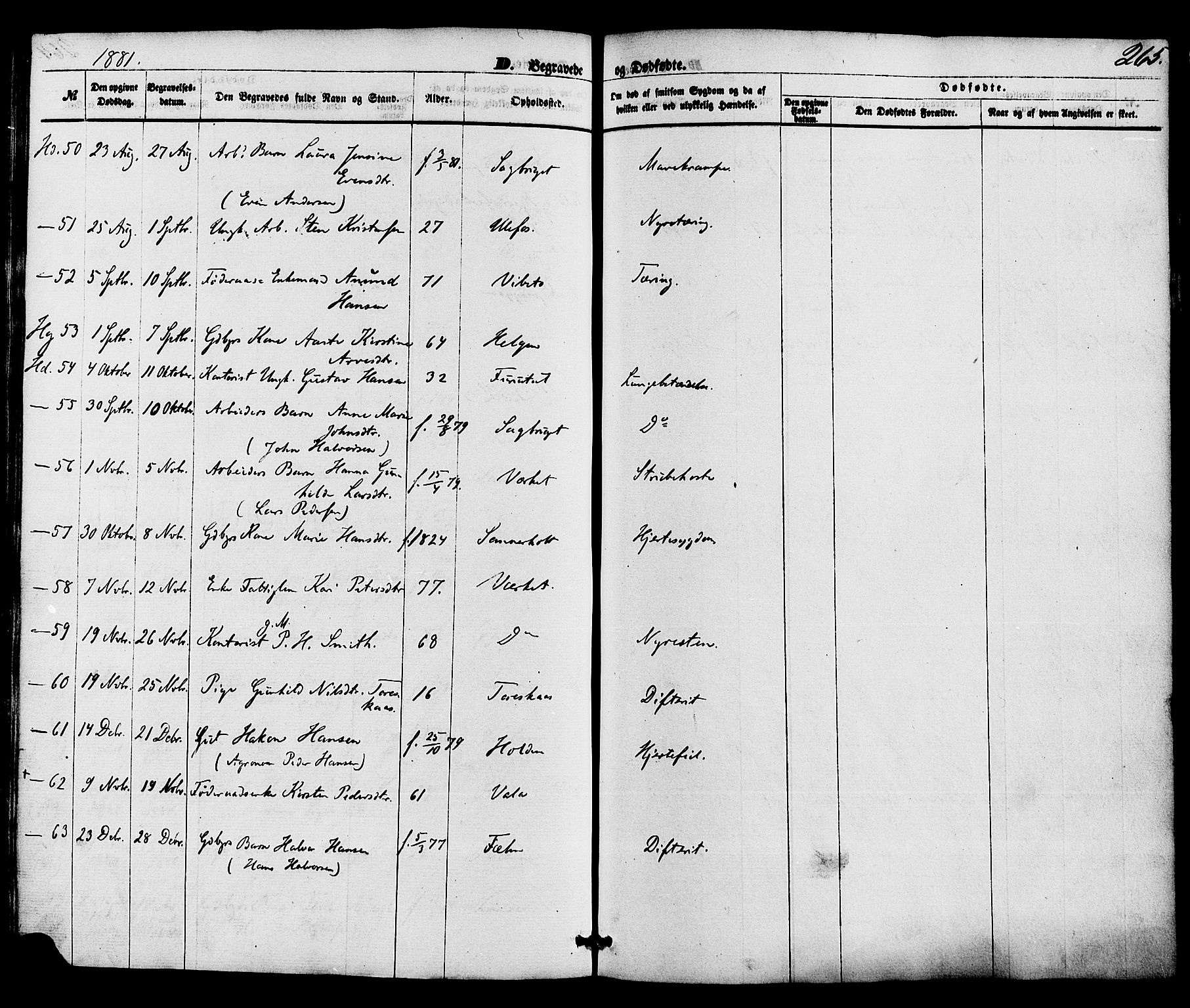 Holla kirkebøker, AV/SAKO-A-272/F/Fa/L0007: Parish register (official) no. 7, 1869-1881, p. 265