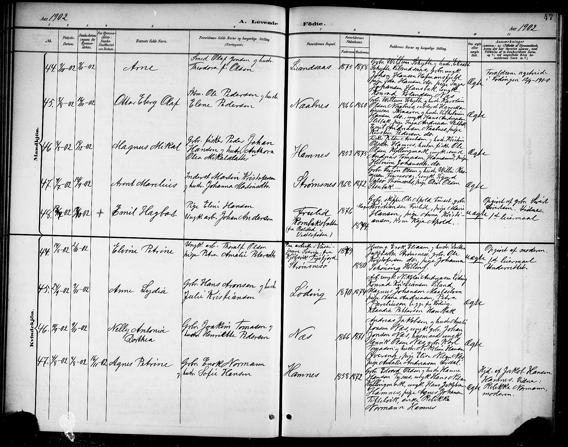 Ministerialprotokoller, klokkerbøker og fødselsregistre - Nordland, AV/SAT-A-1459/859/L0860: Parish register (copy) no. 859C06, 1899-1909, p. 47