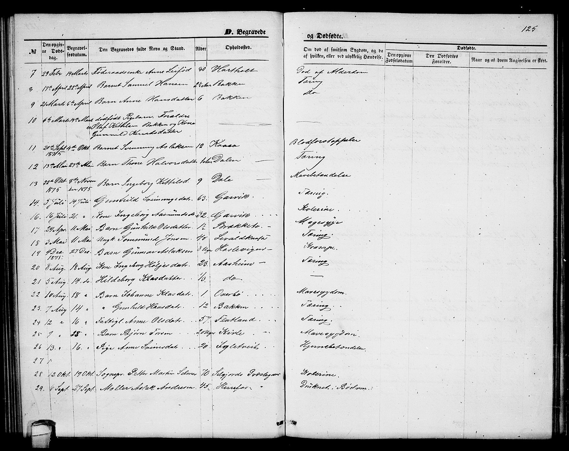 Seljord kirkebøker, AV/SAKO-A-20/G/Ga/L0004: Parish register (copy) no. I 4, 1873-1886, p. 125