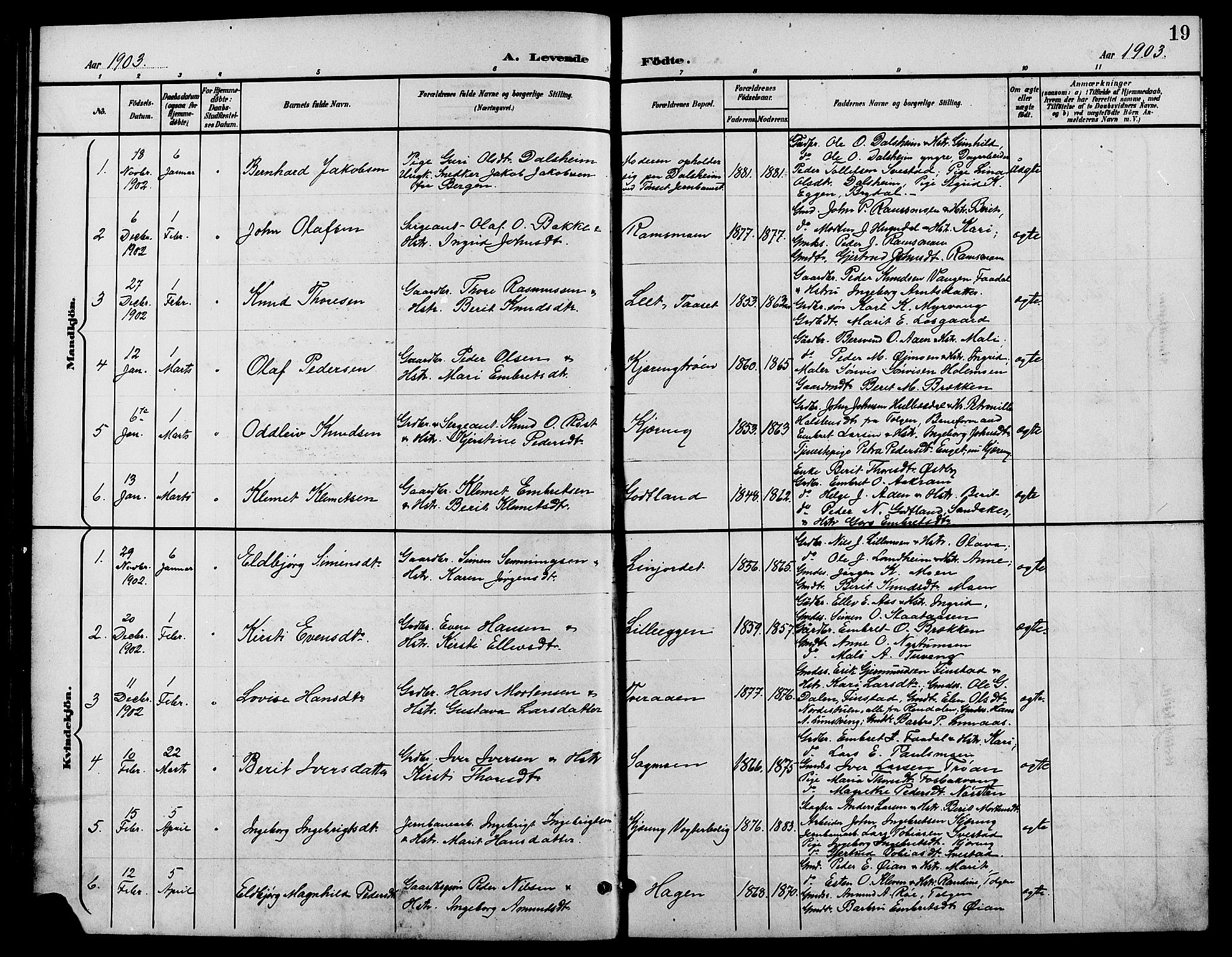 Tynset prestekontor, SAH/PREST-058/H/Ha/Hab/L0009: Parish register (copy) no. 9, 1900-1914, p. 19