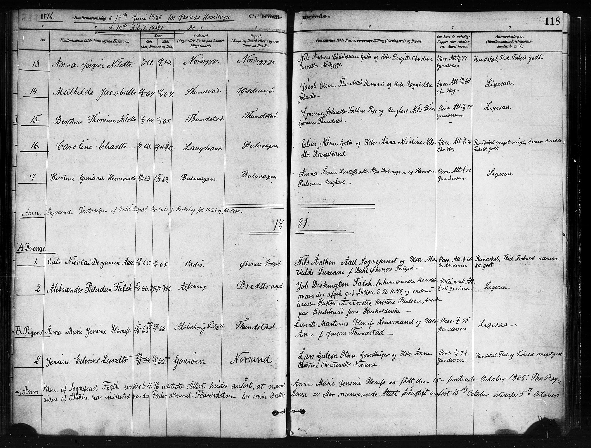 Ministerialprotokoller, klokkerbøker og fødselsregistre - Nordland, AV/SAT-A-1459/893/L1335: Parish register (official) no. 893A08 /1, 1878-1884, p. 118