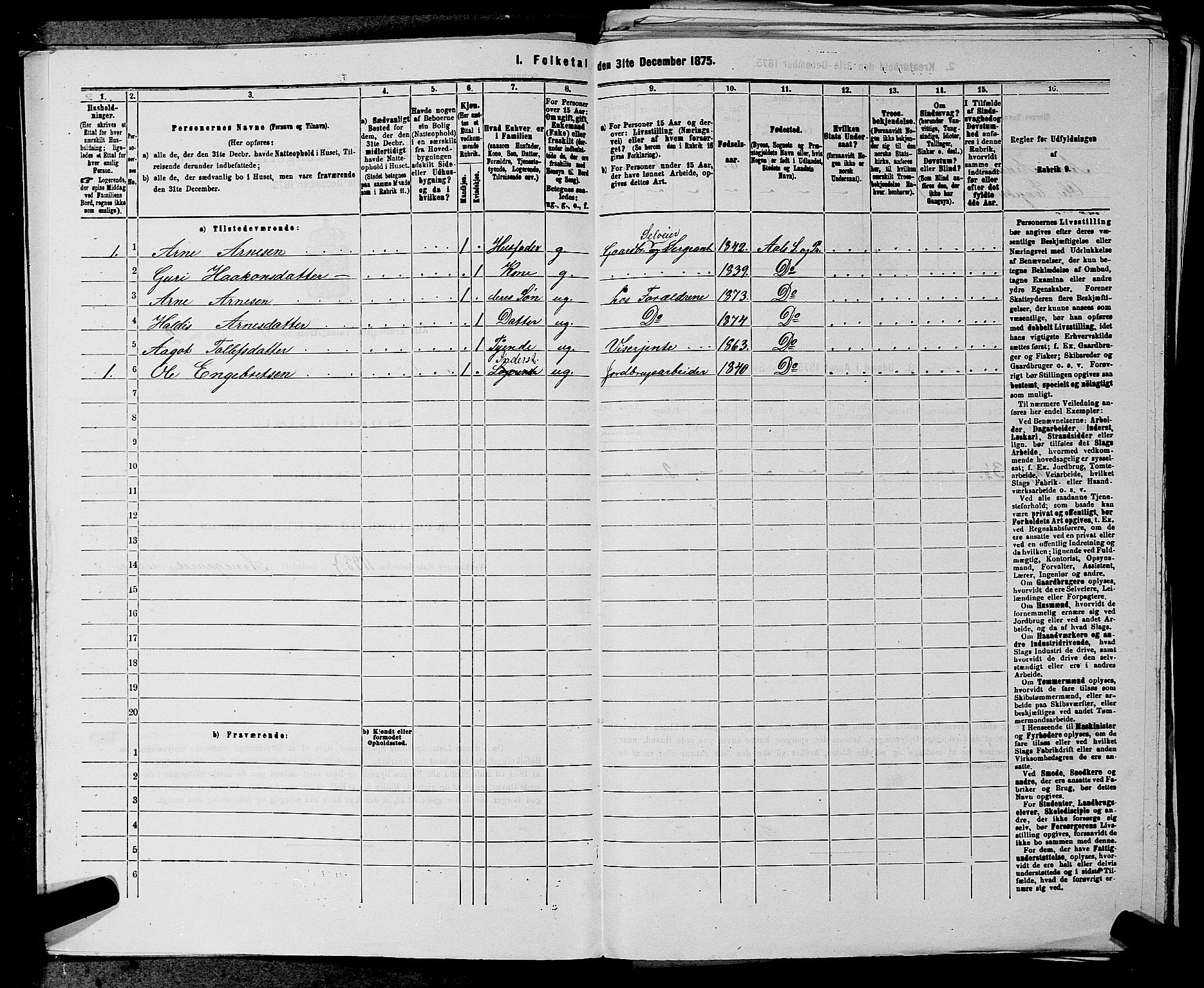 SAKO, 1875 census for 0619P Ål, 1875, p. 1116