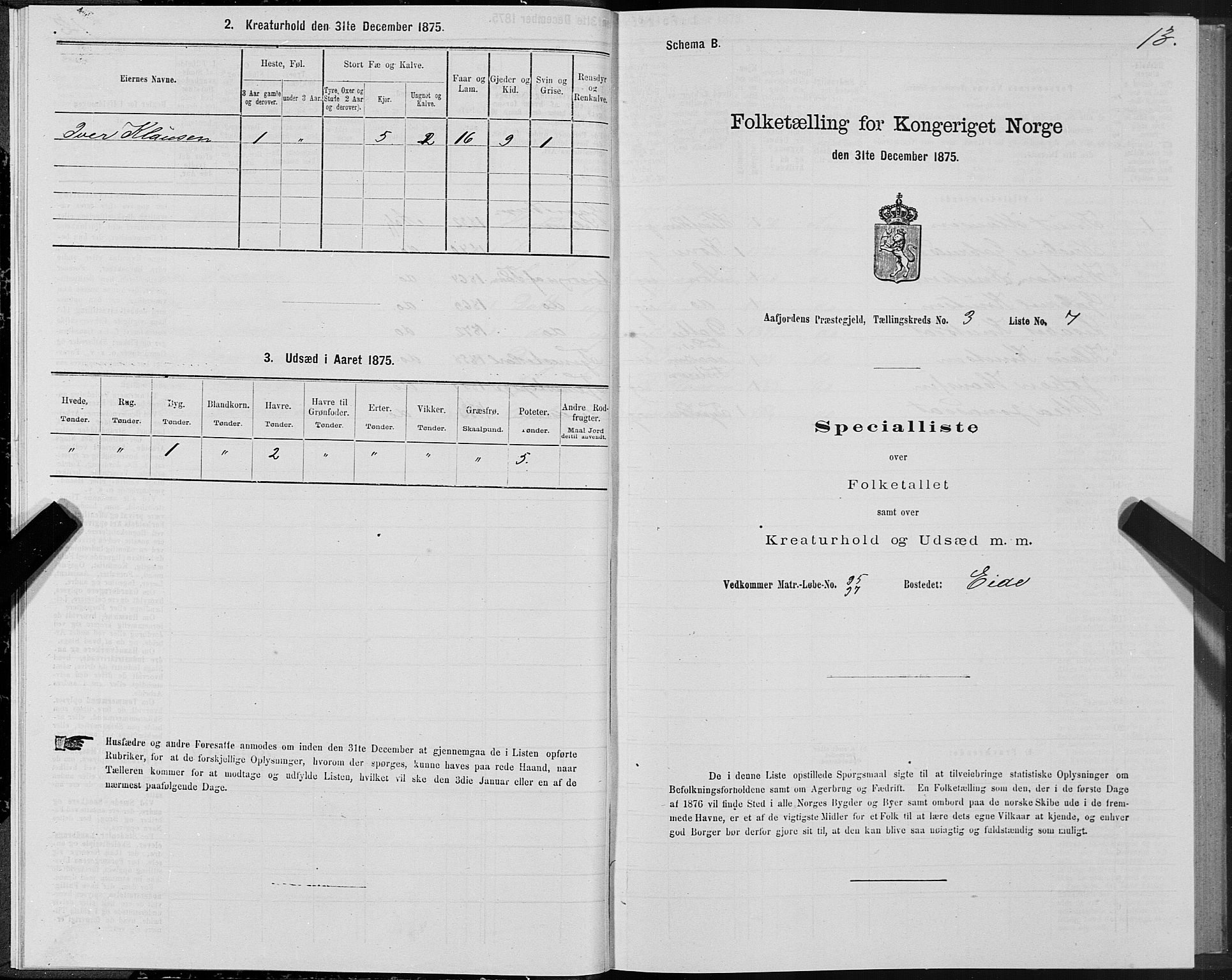 SAT, 1875 census for 1630P Aafjorden, 1875, p. 2013