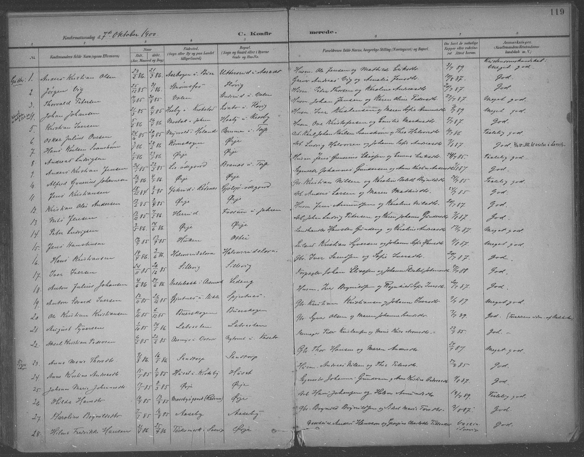 Aremark prestekontor Kirkebøker, SAO/A-10899/F/Fb/L0005: Parish register (official) no. II 5, 1895-1919, p. 119