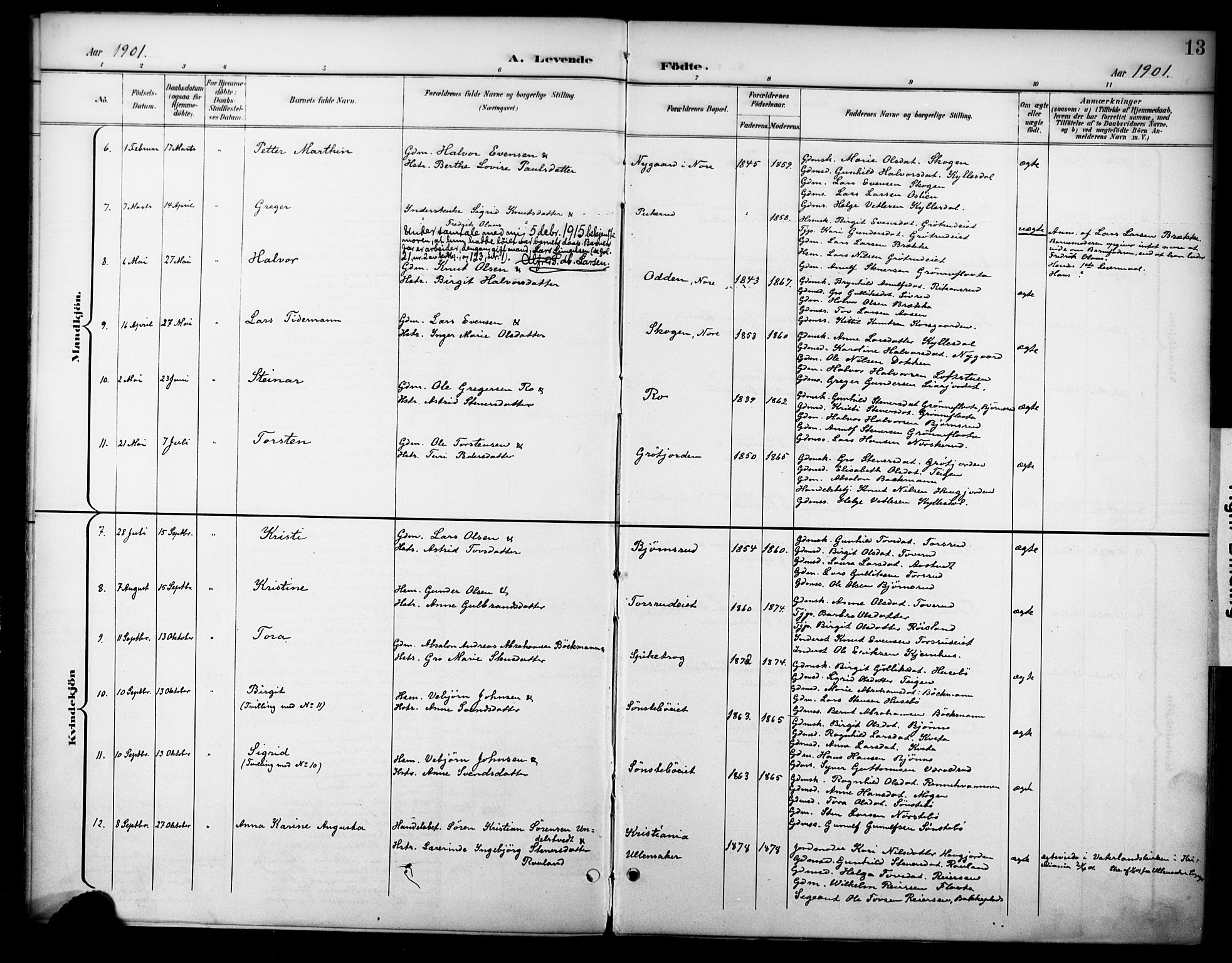 Nore kirkebøker, SAKO/A-238/F/Fc/L0005: Parish register (official) no. III 5, 1898-1922, p. 13