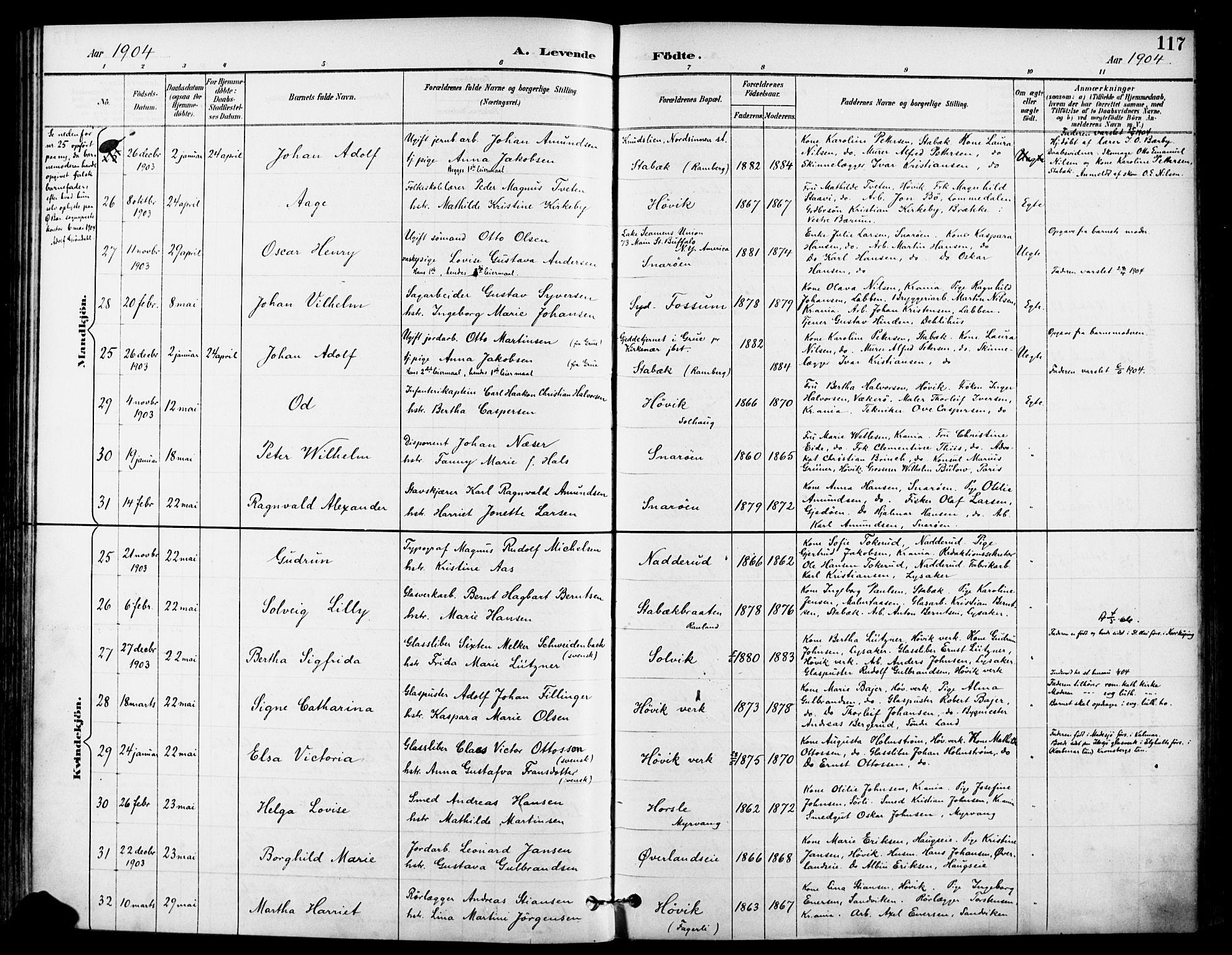 Asker prestekontor Kirkebøker, SAO/A-10256a/F/Fc/L0003: Parish register (official) no. III 3, 1892-1904, p. 117