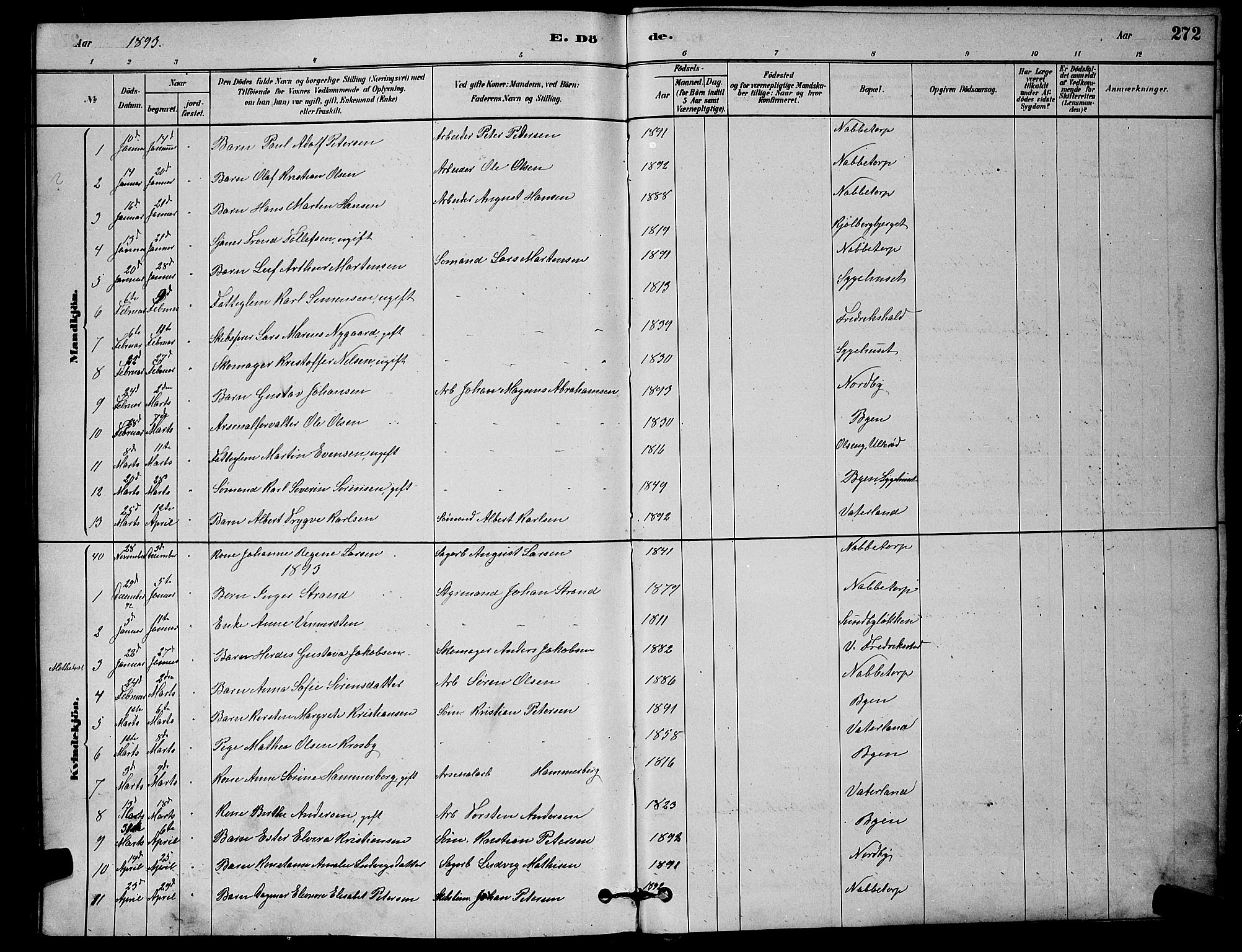 Østre Fredrikstad prestekontor Kirkebøker, AV/SAO-A-10907/G/Ga/L0001: Parish register (copy) no. 1, 1880-1899, p. 272