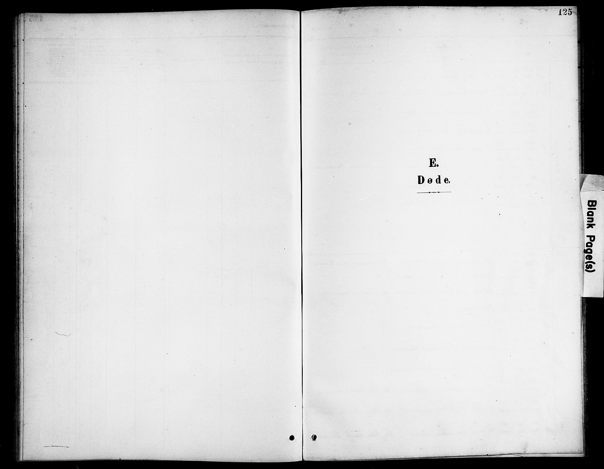 Herad sokneprestkontor, SAK/1111-0018/F/Fb/Fba/L0005: Parish register (copy) no. B 5, 1899-1921, p. 125