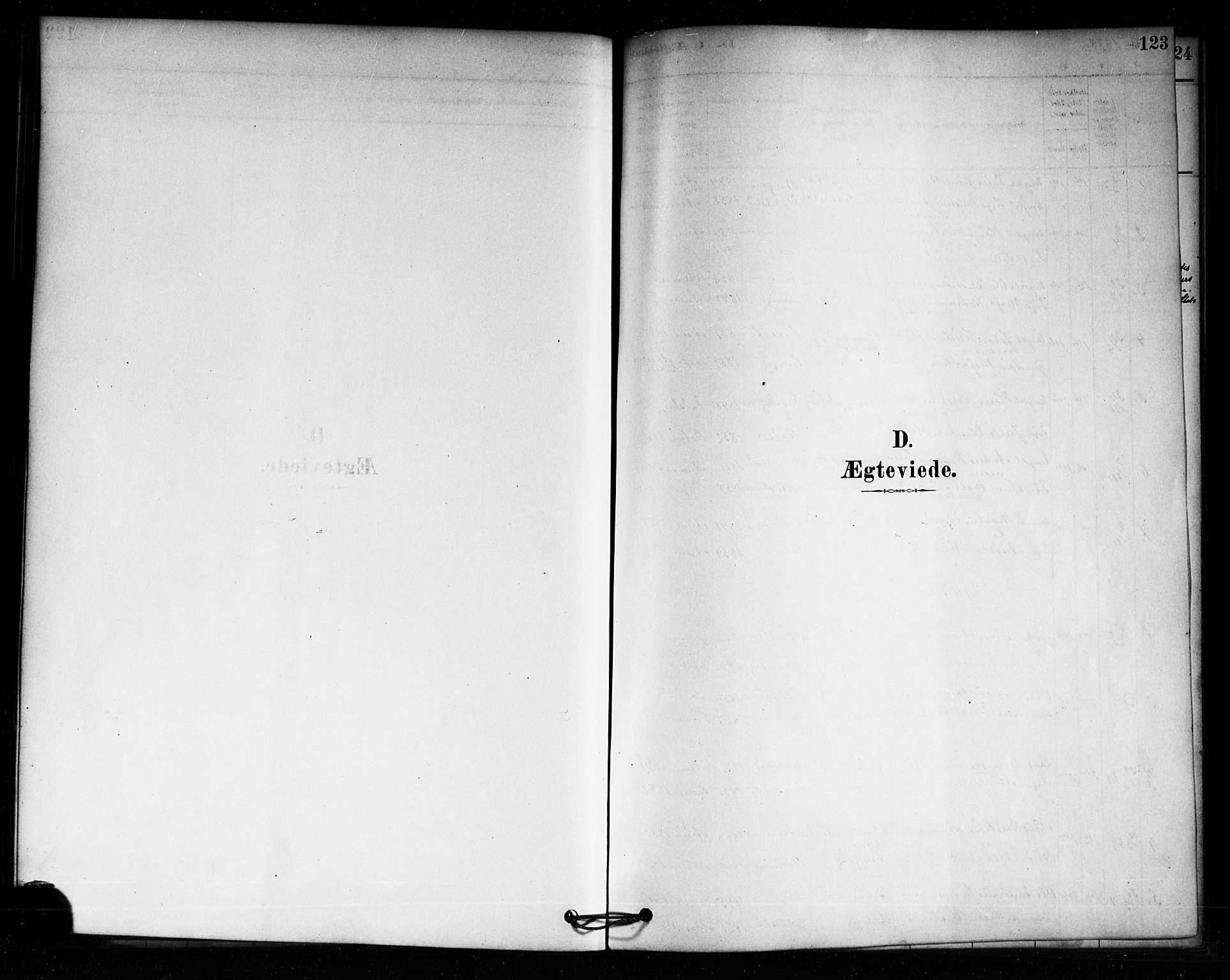 Aremark prestekontor Kirkebøker, SAO/A-10899/F/Fa/L0005: Parish register (official) no. I 5, 1878-1897, p. 123