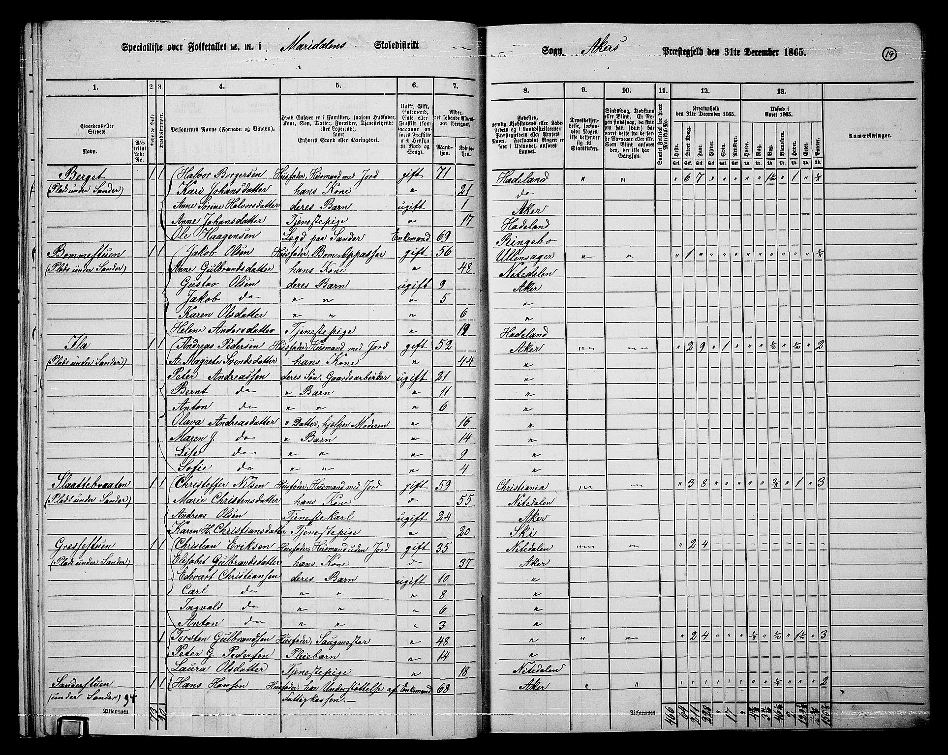 RA, 1865 census for Vestre Aker, 1865, p. 203