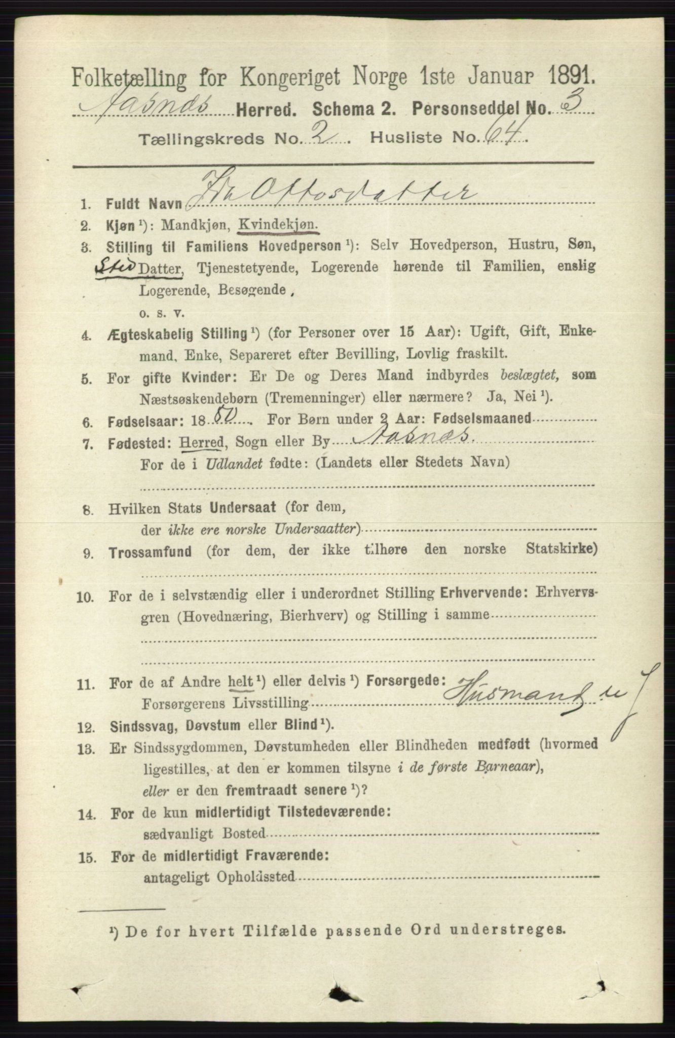 RA, 1891 census for 0425 Åsnes, 1891, p. 949