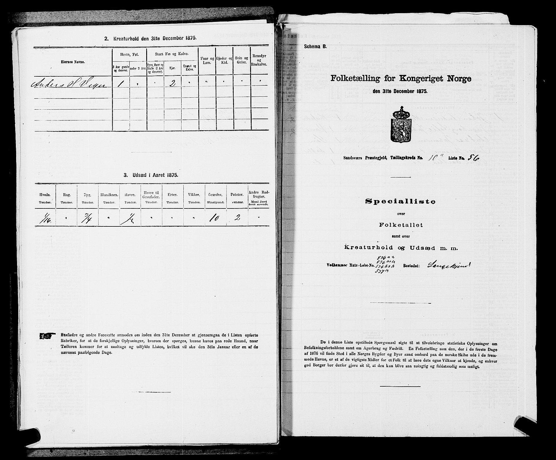 SAKO, 1875 census for 0629P Sandsvær, 1875, p. 1698