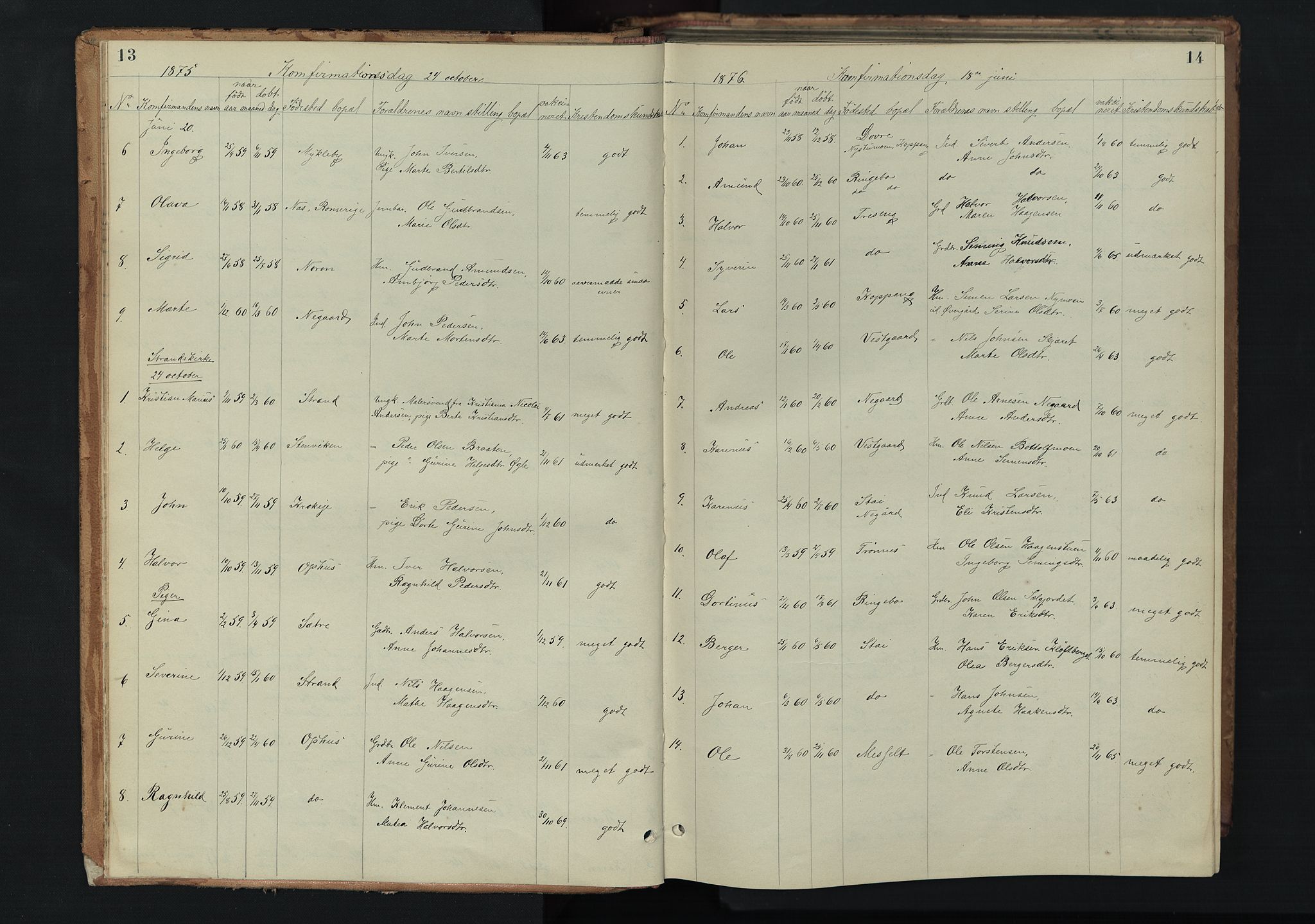 Stor-Elvdal prestekontor, SAH/PREST-052/H/Ha/Hab/L0002: Parish register (copy) no. 2, 1860-1894, p. 13-14