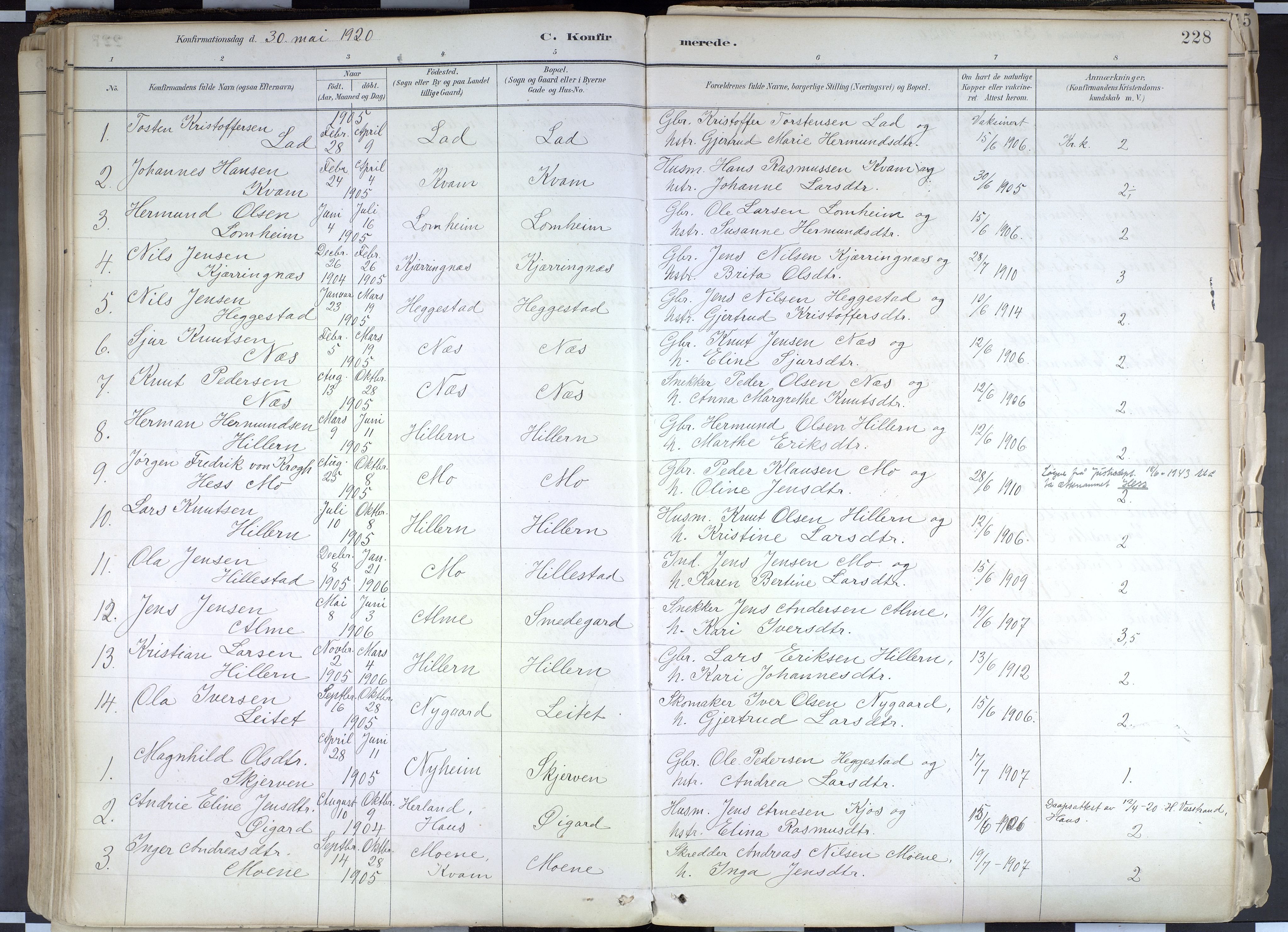 Hafslo sokneprestembete, SAB/A-80301/H/Haa/Haab/L0001: Parish register (official) no. B 1, 1886-1945, p. 228