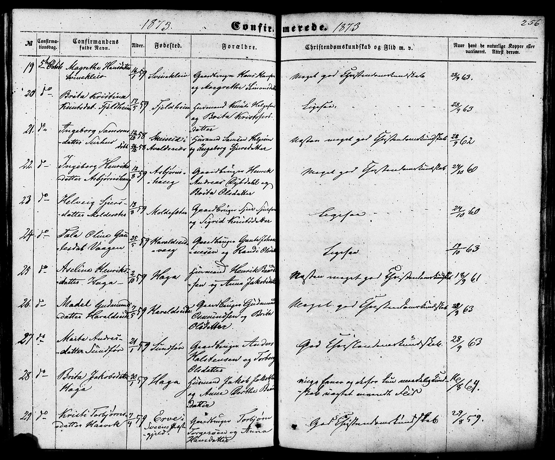 Skjold sokneprestkontor, SAST/A-101847/H/Ha/Haa/L0008: Parish register (official) no. A 8, 1856-1882, p. 256