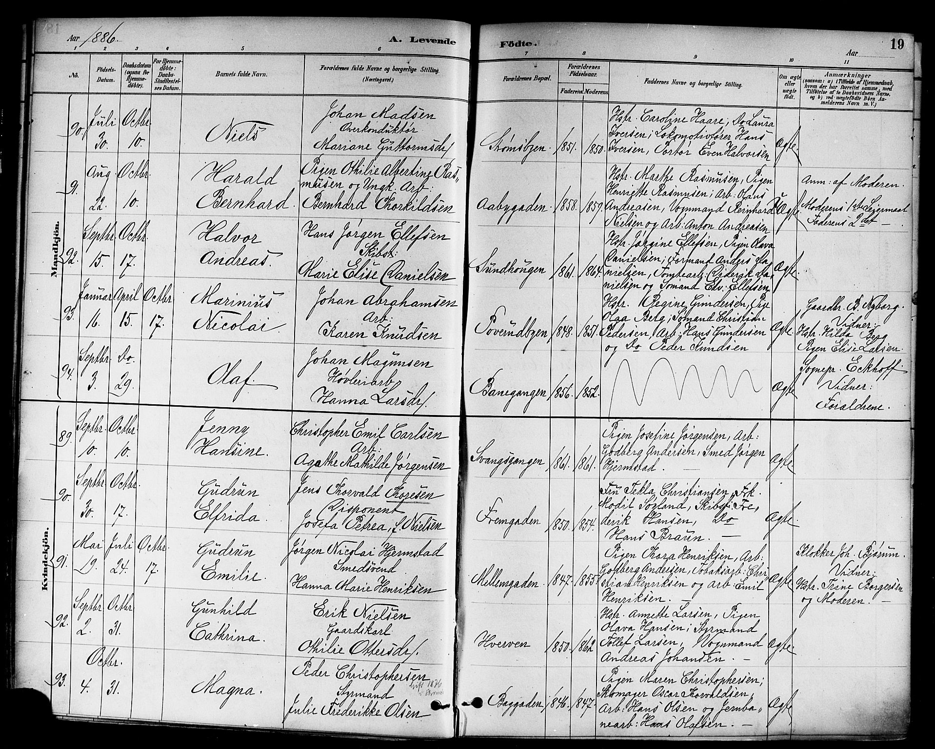 Strømsø kirkebøker, AV/SAKO-A-246/F/Fa/L0023: Parish register (official) no. I 23, 1885-1894, p. 19