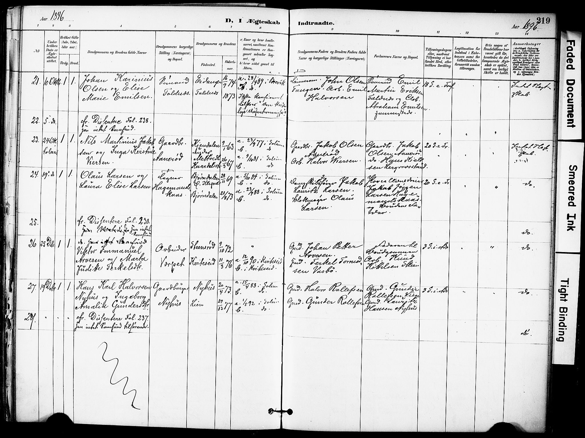 Solum kirkebøker, SAKO/A-306/F/Fa/L0010: Parish register (official) no. I 10, 1888-1898, p. 219