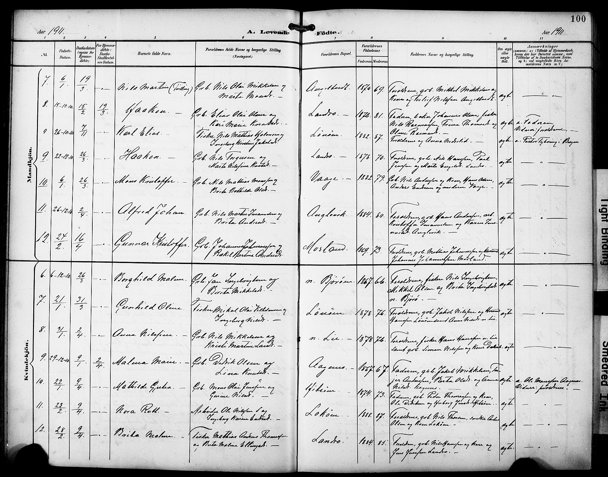 Fjell sokneprestembete, SAB/A-75301/H/Hab: Parish register (copy) no. A 5, 1899-1918, p. 100