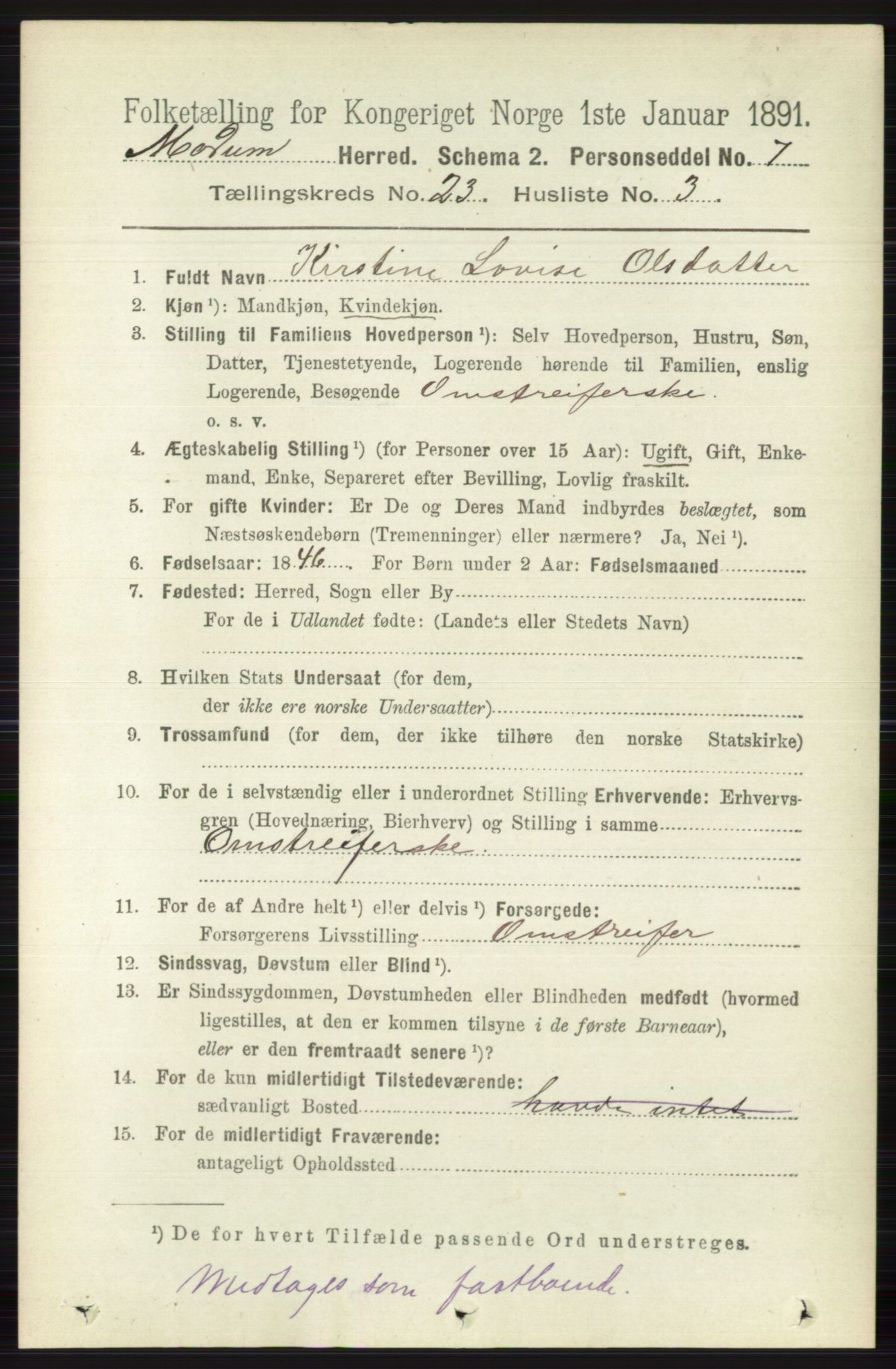 RA, 1891 census for 0623 Modum, 1891, p. 8713