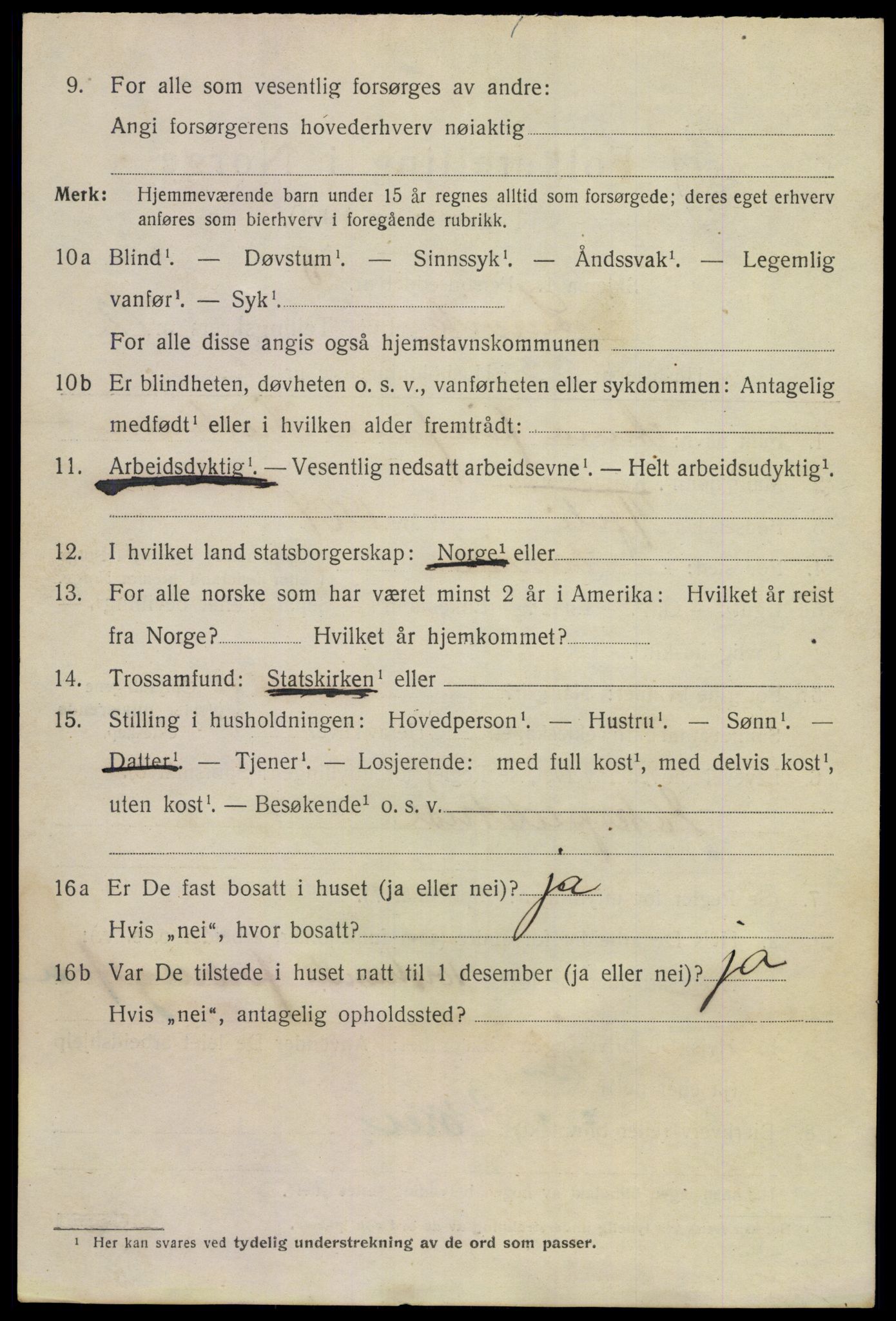 SAKO, 1920 census for Larvik, 1920, p. 31013