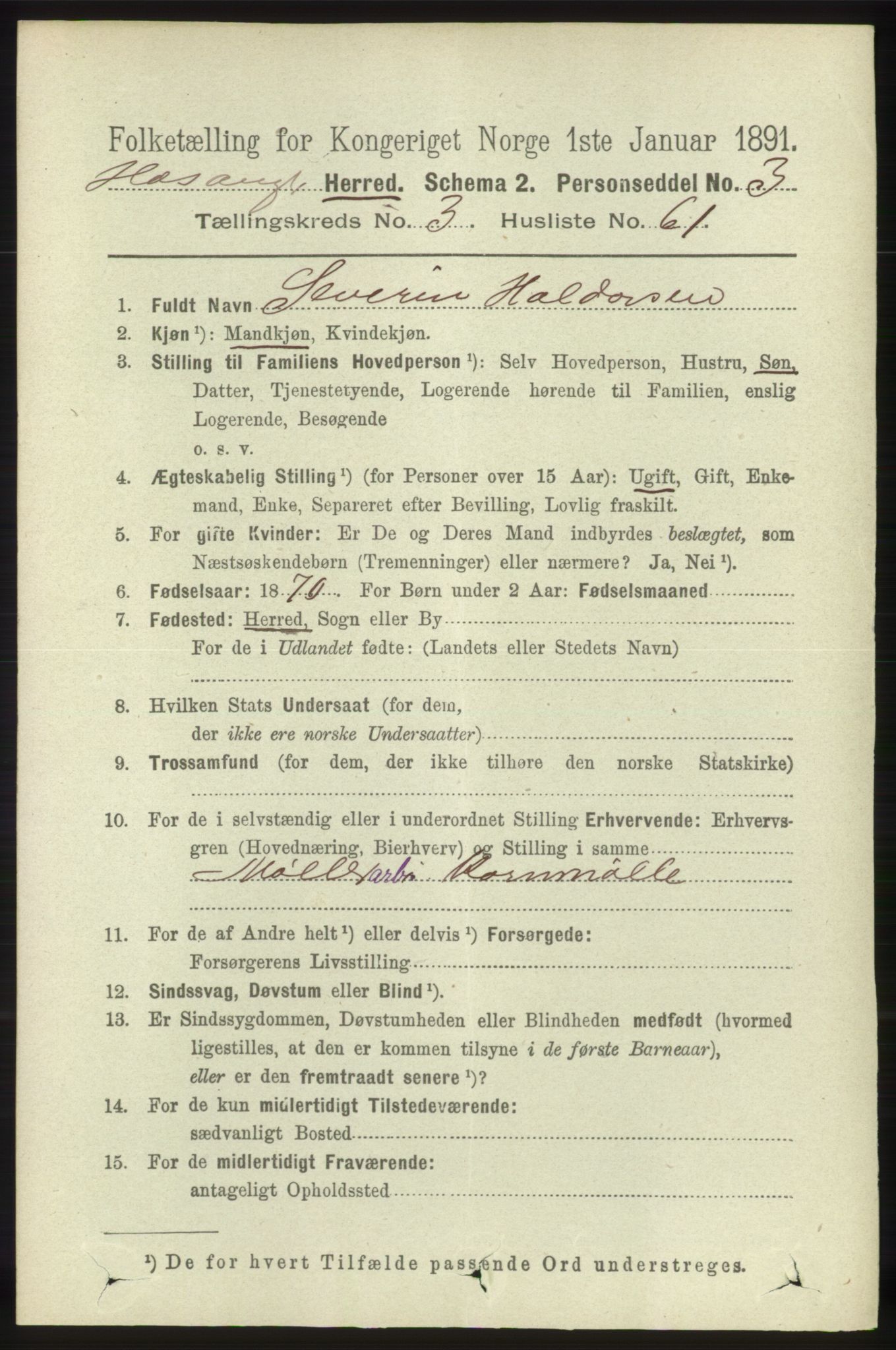 RA, 1891 census for 1253 Hosanger, 1891, p. 1383