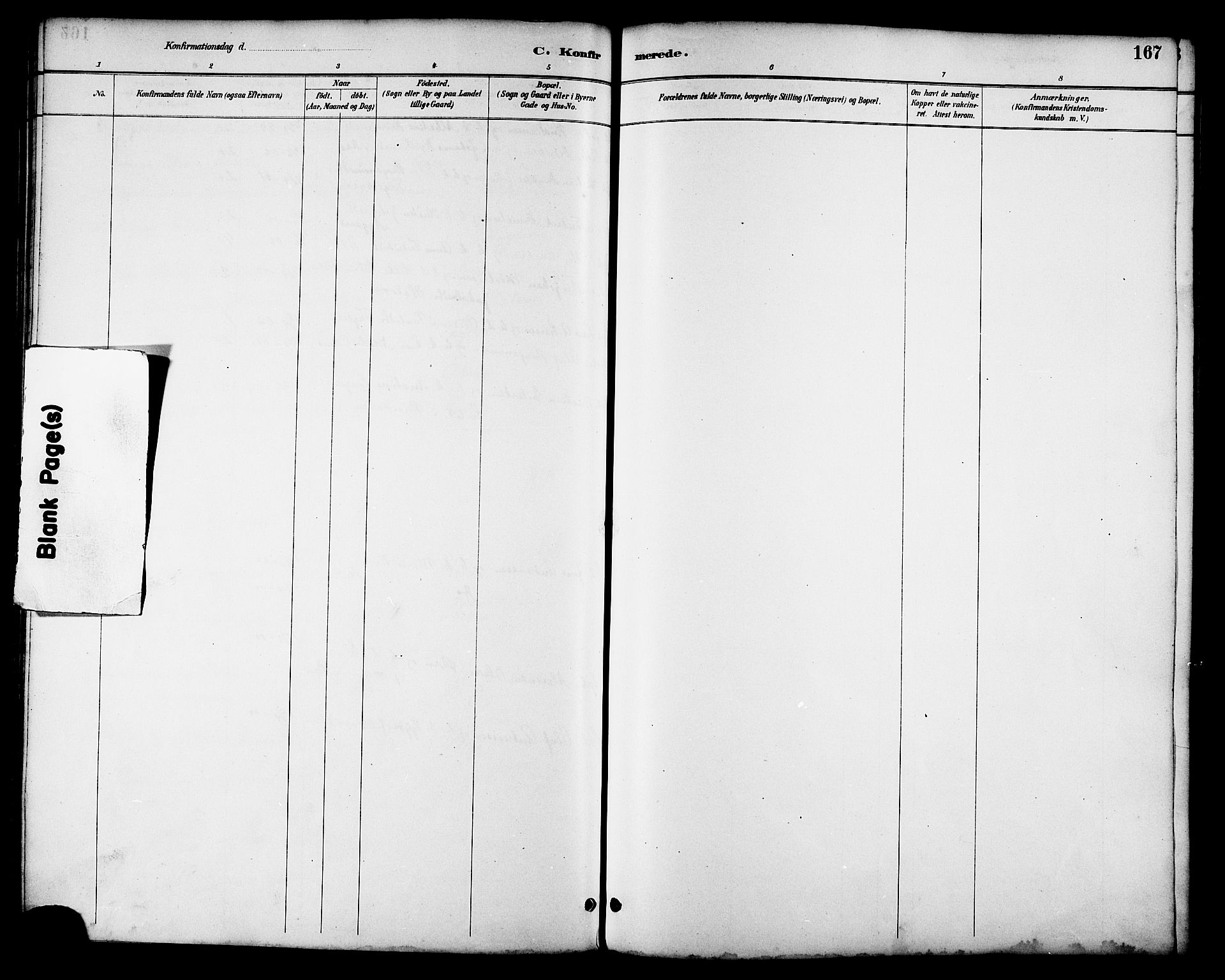 Ministerialprotokoller, klokkerbøker og fødselsregistre - Nordland, AV/SAT-A-1459/814/L0230: Parish register (copy) no. 814C03, 1884-1911, p. 167