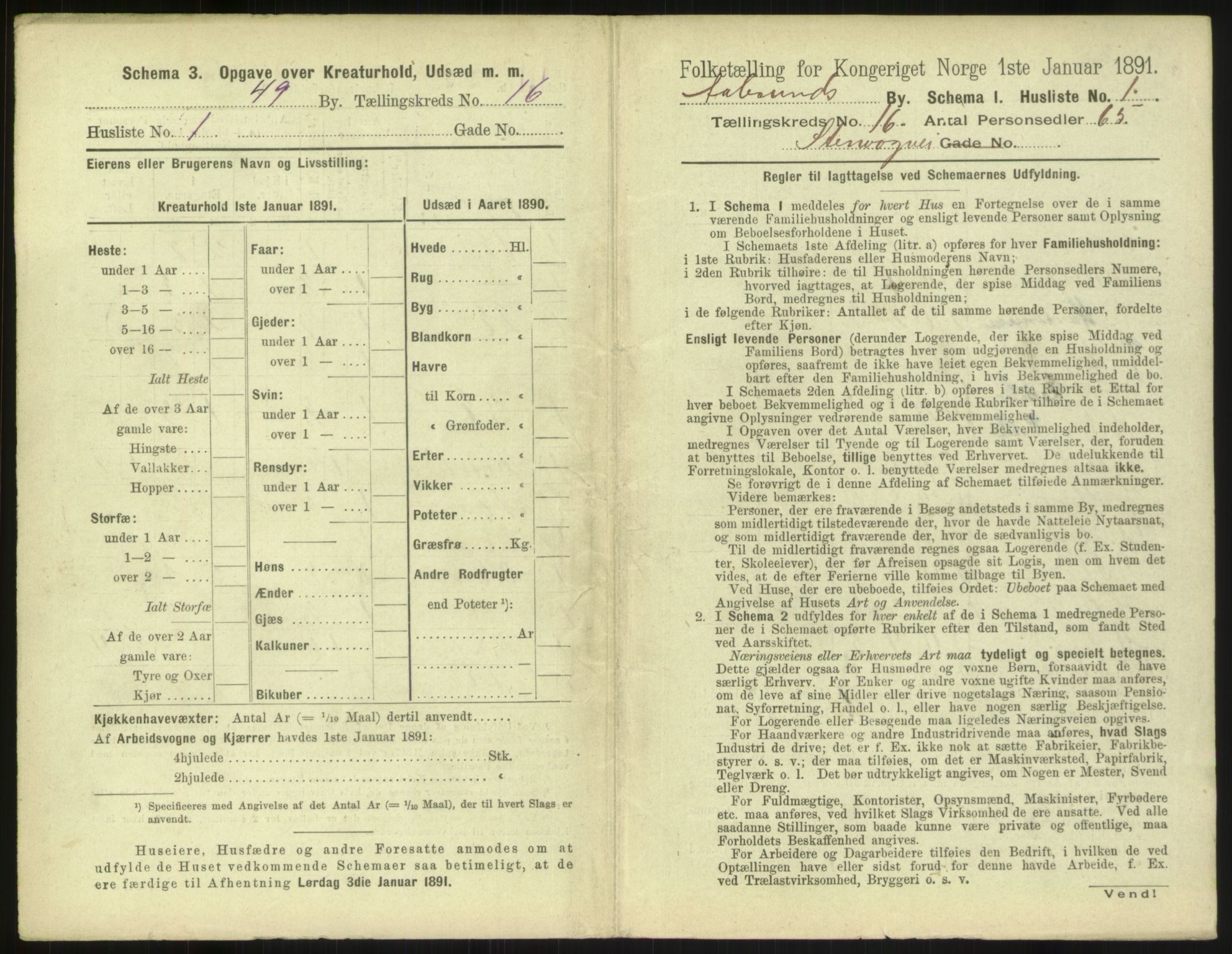 RA, 1891 census for 1501 Ålesund, 1891, p. 1102