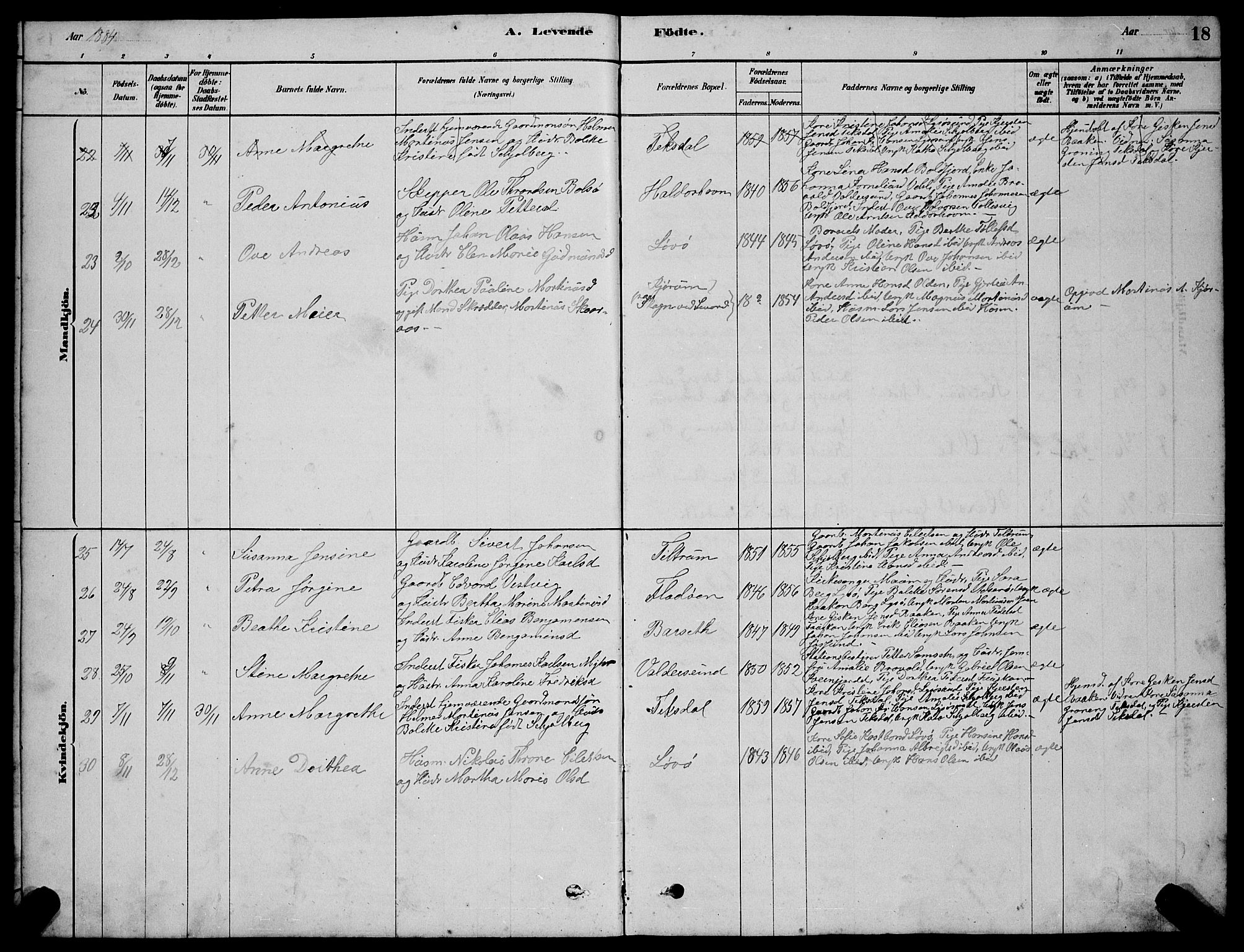 Ministerialprotokoller, klokkerbøker og fødselsregistre - Sør-Trøndelag, SAT/A-1456/654/L0665: Parish register (copy) no. 654C01, 1879-1901, p. 18