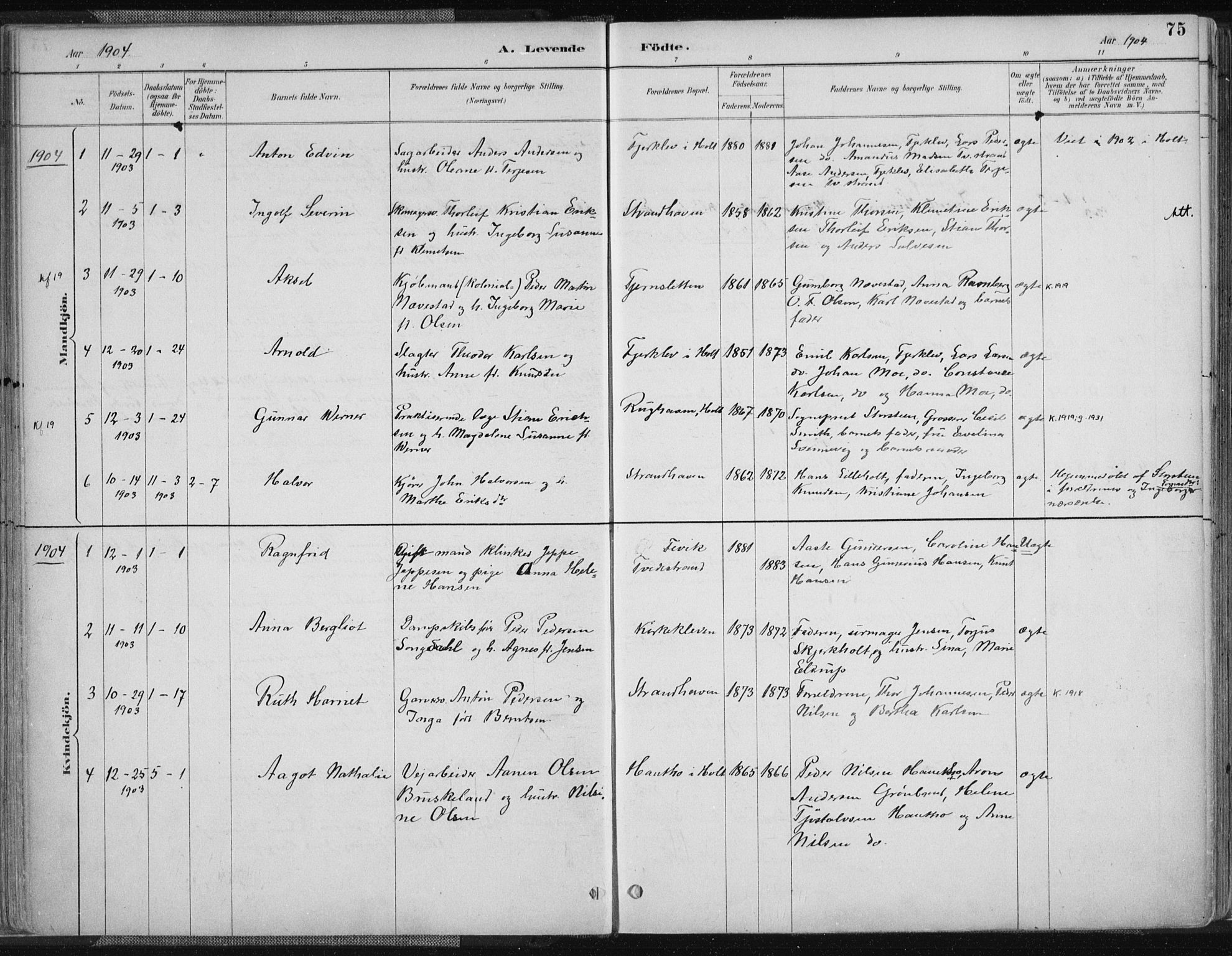 Tvedestrand sokneprestkontor, SAK/1111-0042/F/Fa/L0001: Parish register (official) no. A 1, 1885-1916, p. 75