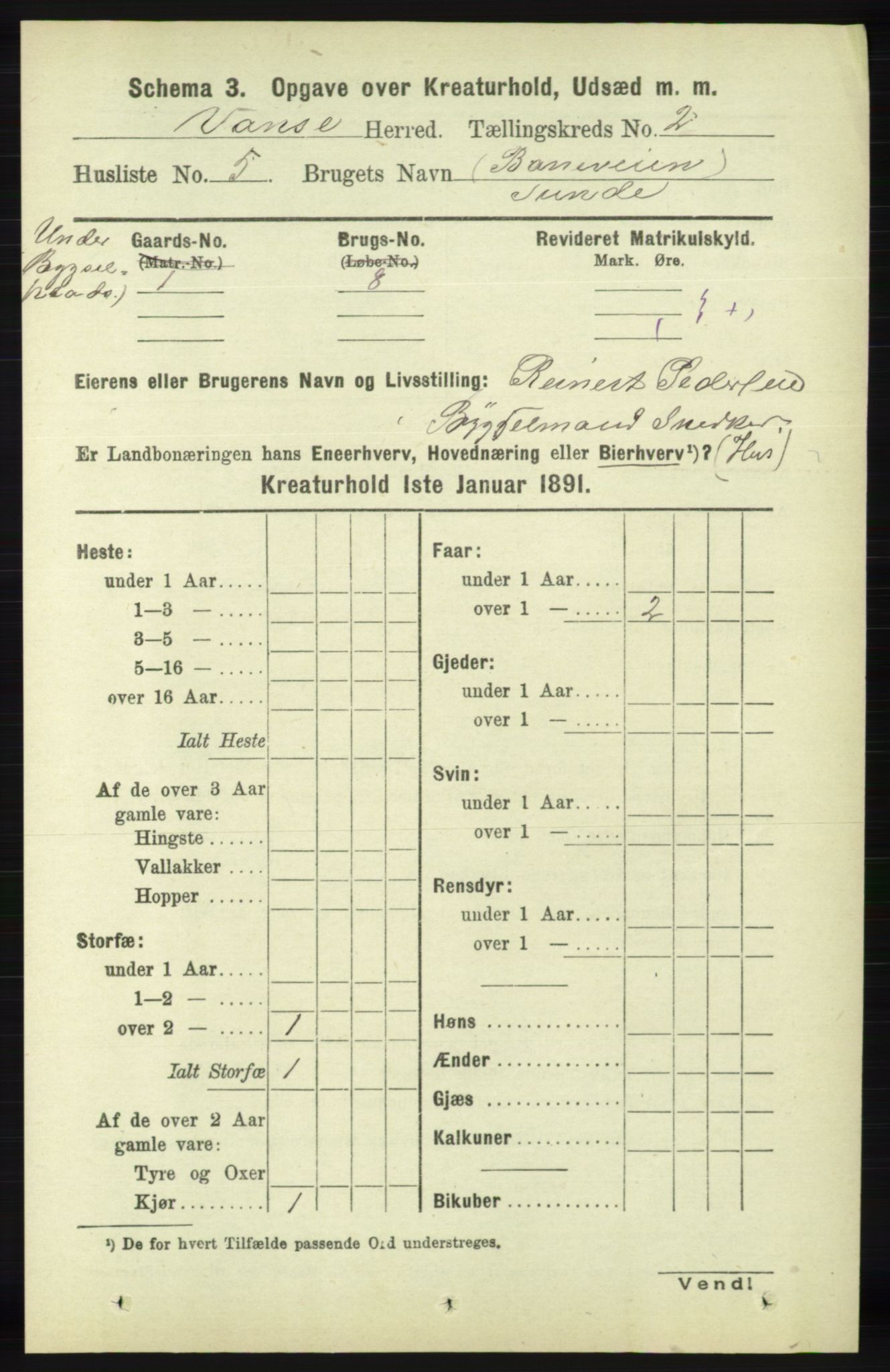 RA, 1891 census for 1041 Vanse, 1891, p. 7970