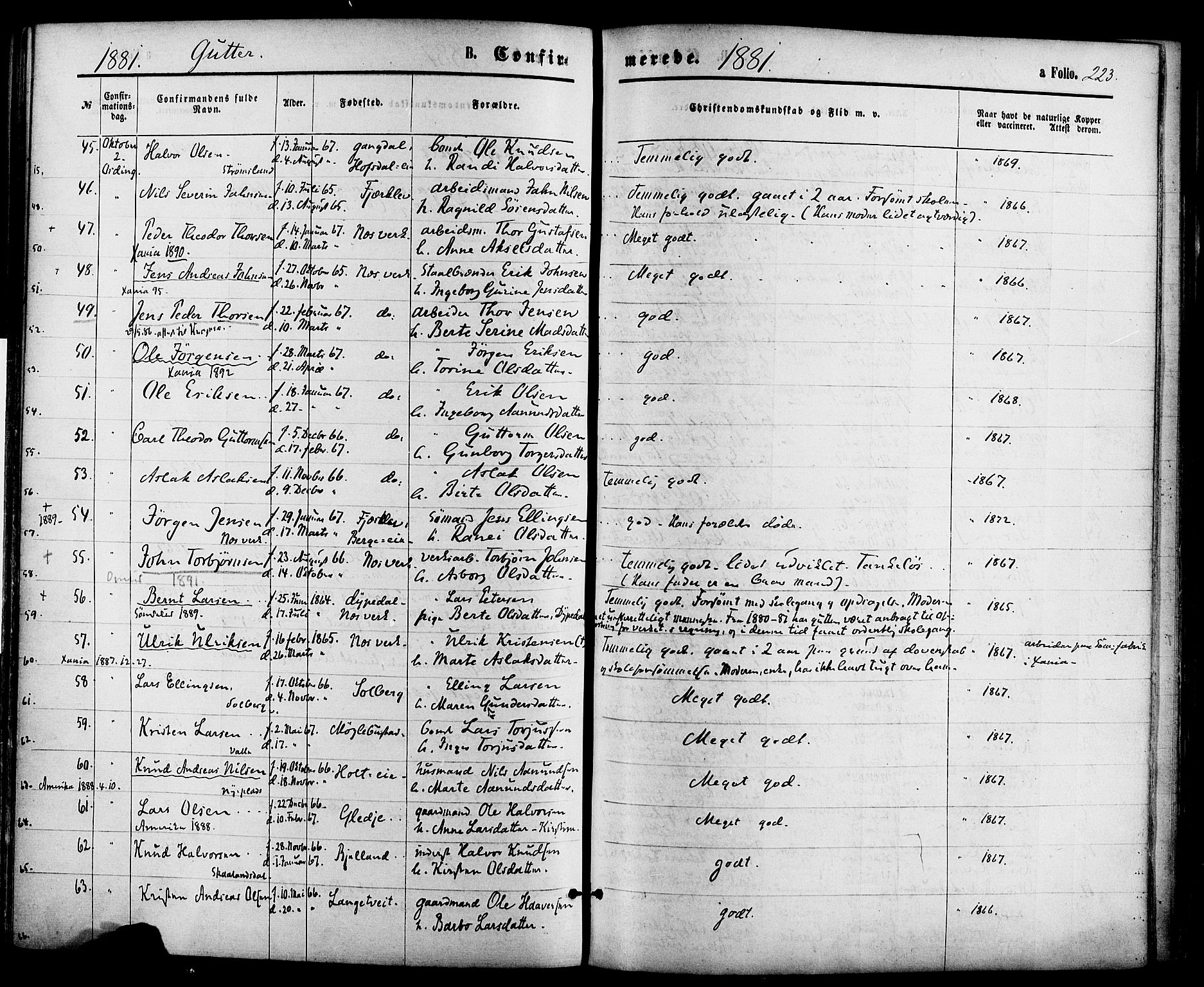 Holt sokneprestkontor, AV/SAK-1111-0021/F/Fa/L0010: Parish register (official) no. A 10, 1872-1885, p. 223