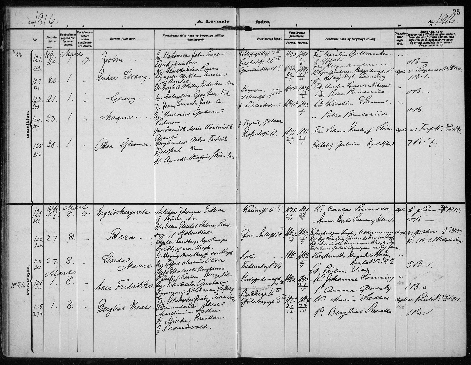 Rikshospitalet prestekontor Kirkebøker, AV/SAO-A-10309b/F/L0016: Parish register (official) no. 16, 1916-1918, p. 25