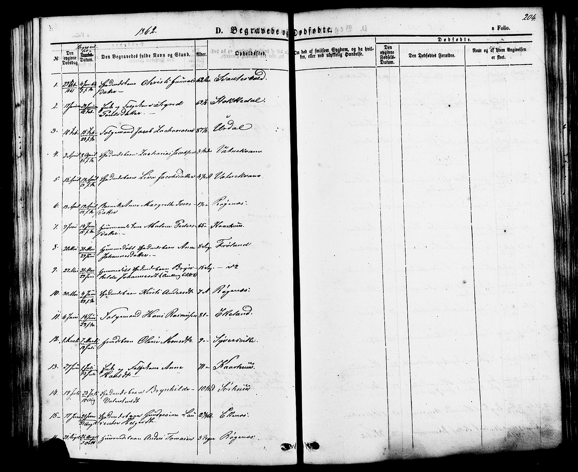 Skjold sokneprestkontor, AV/SAST-A-101847/H/Ha/Haa/L0007: Parish register (official) no. A 7, 1857-1882, p. 204